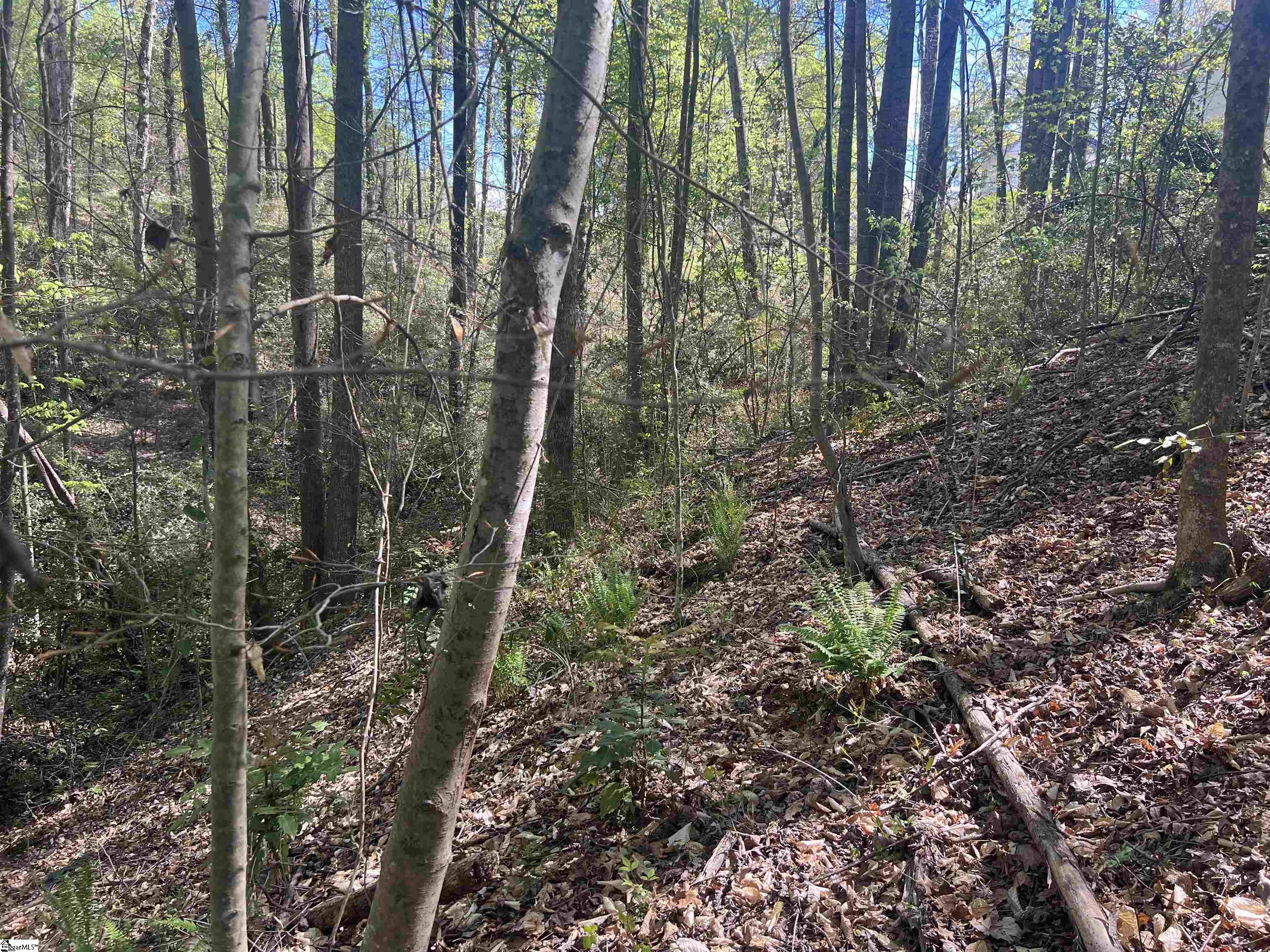 MLS #1556519 image #22