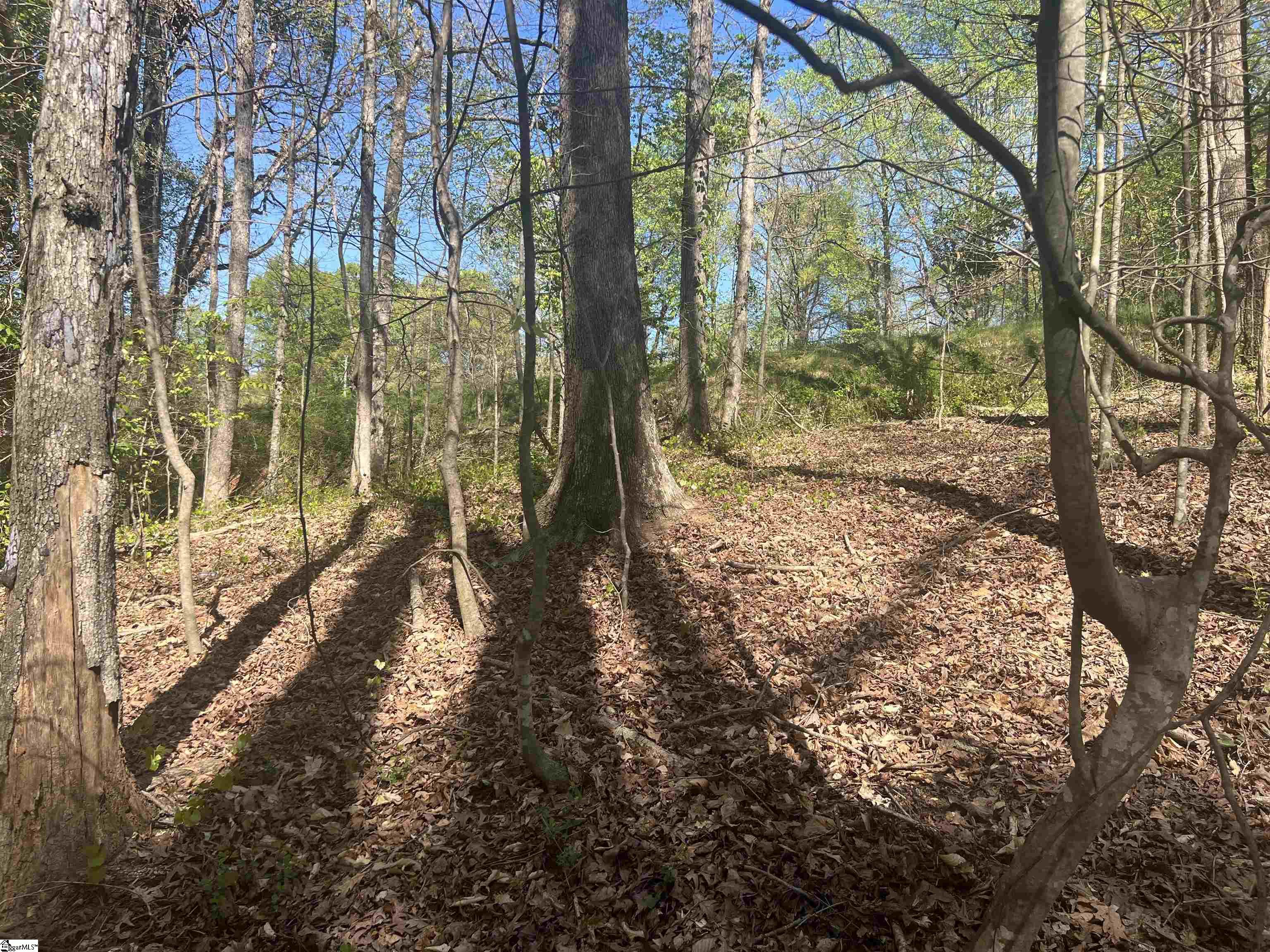 MLS #1556519 image #24