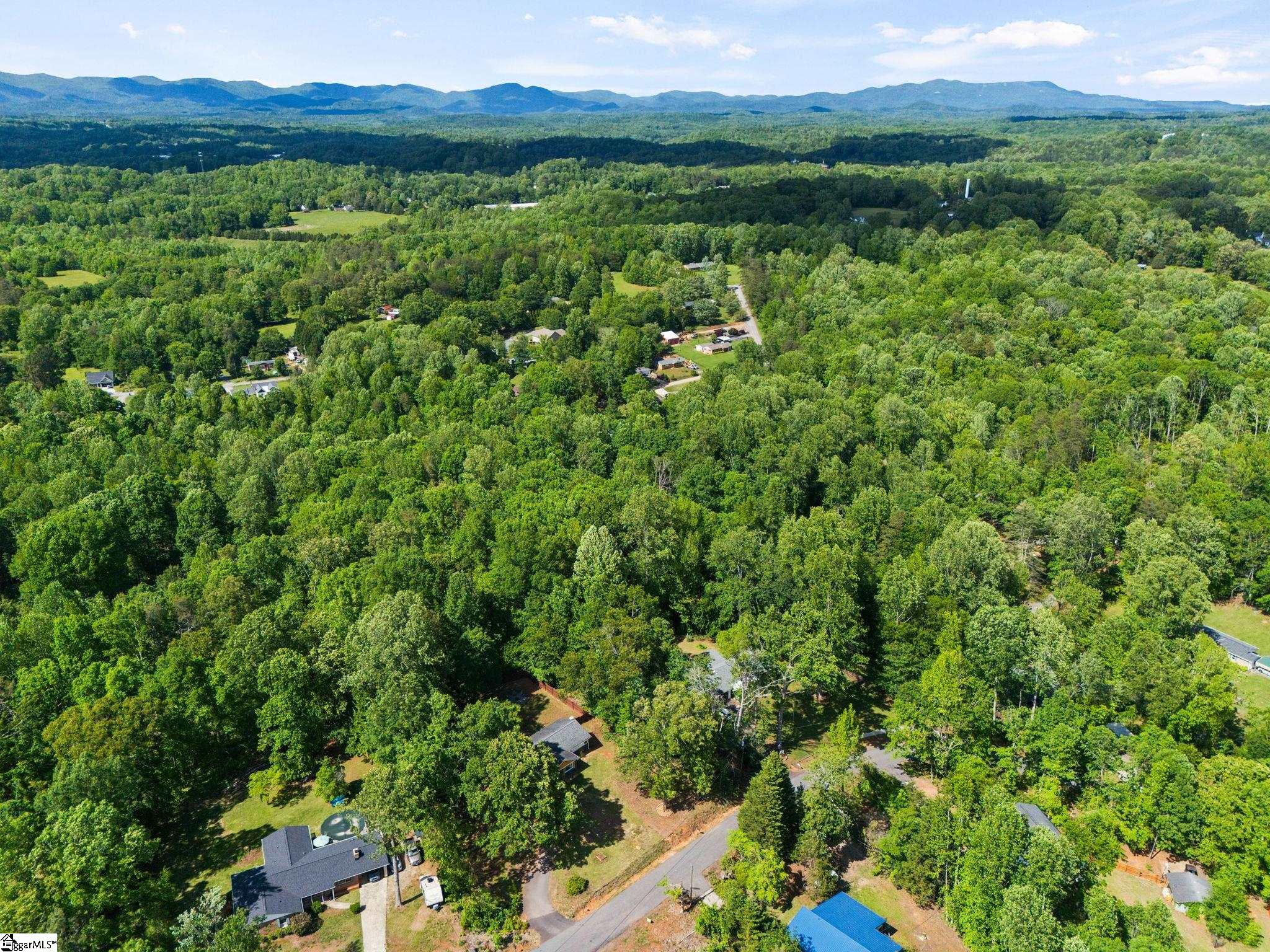 312 Alta Vista, Travelers Rest, South Carolina image 27