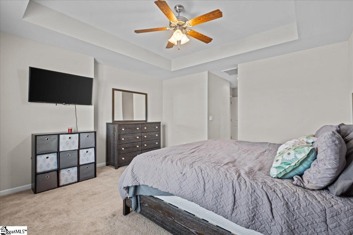 11 Snowy, Fountain Inn, South Carolina image 14
