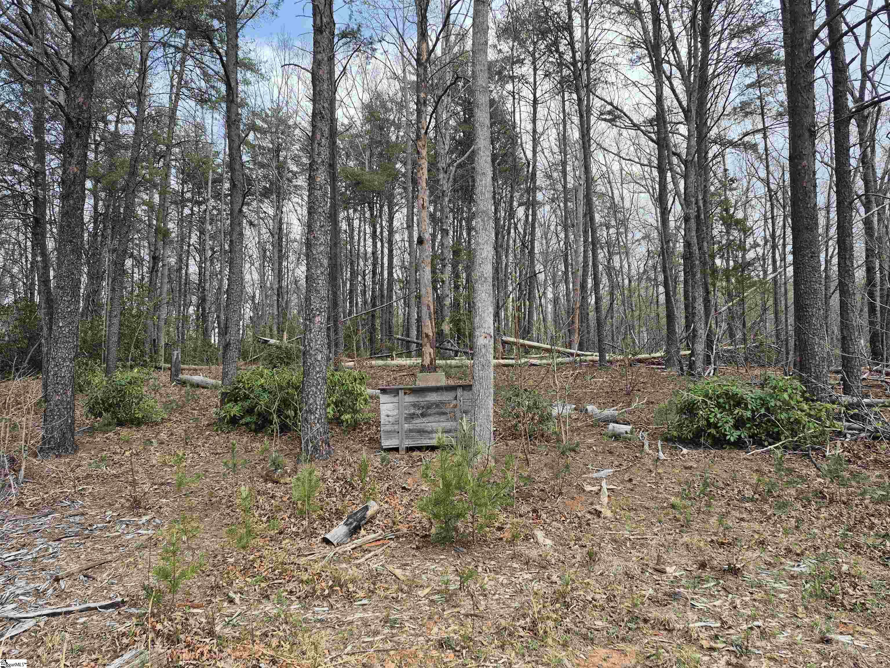 620 Oak Grove, Landrum, South Carolina image 23
