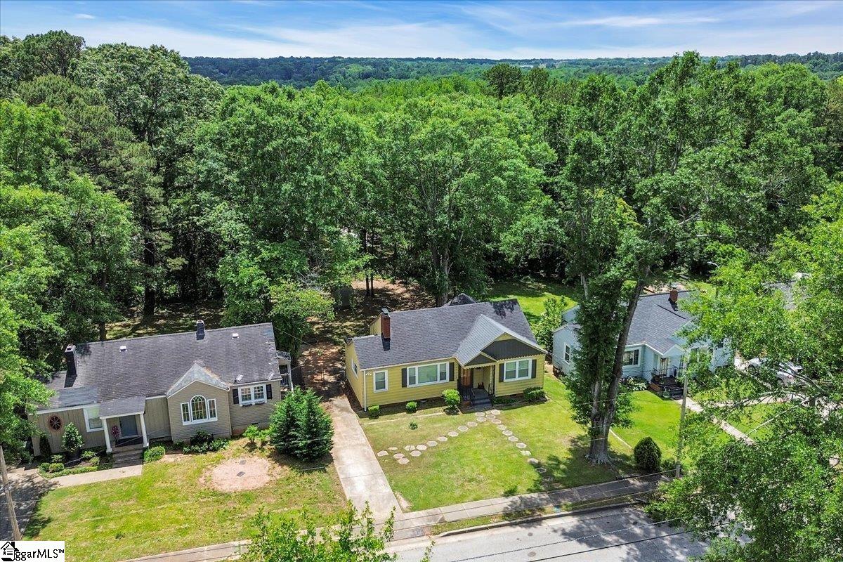 315 Potomac, Greenville, South Carolina image 27