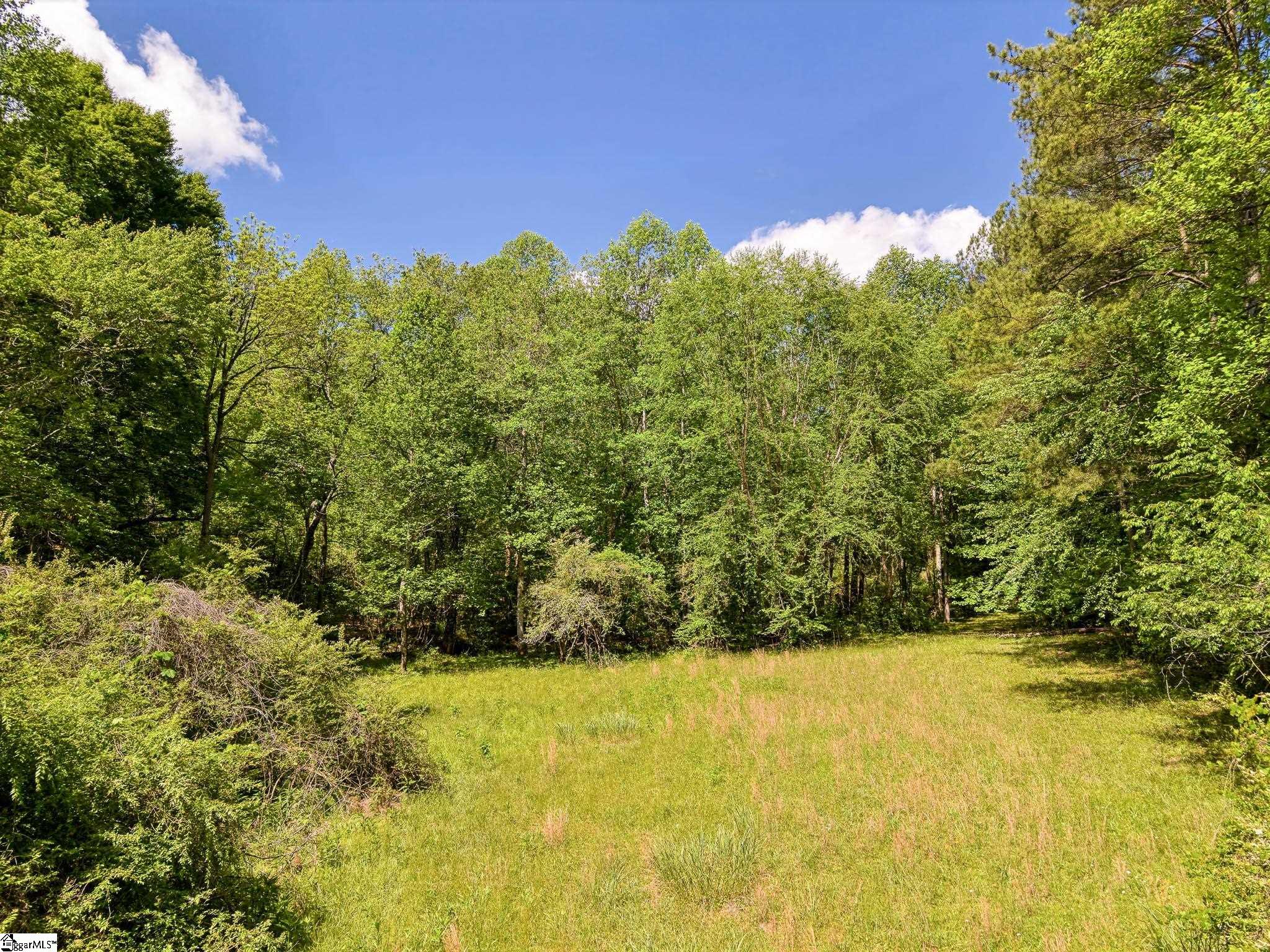 698 Mount Bethel, Sunset, South Carolina image 38