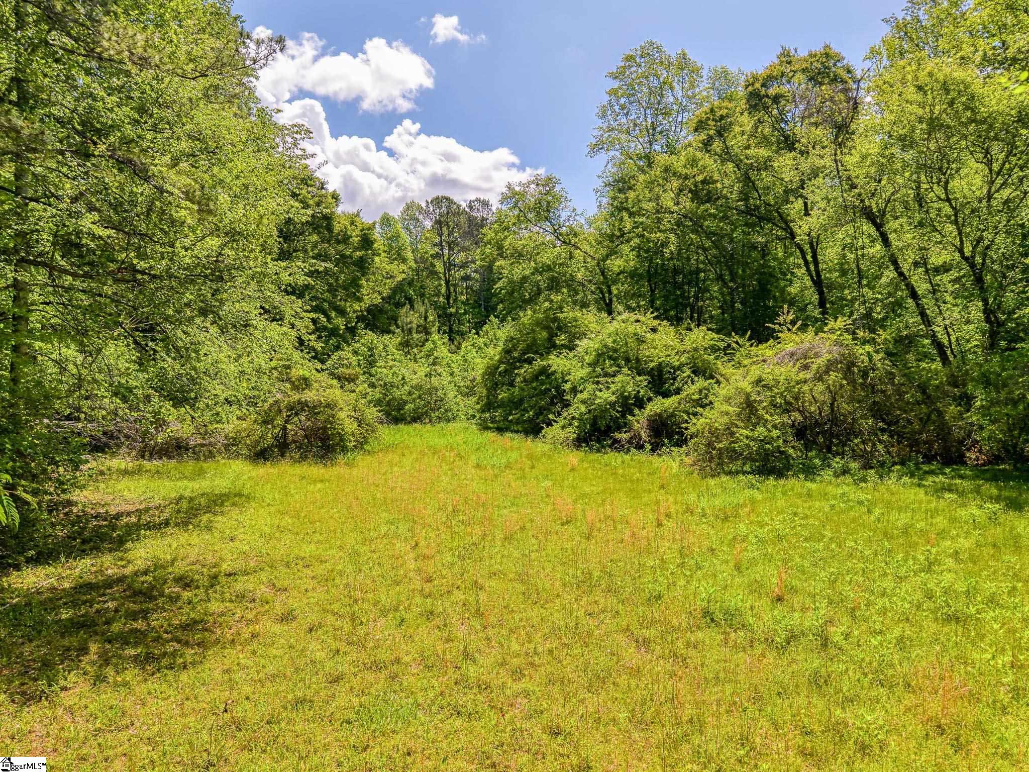 698 Mount Bethel, Sunset, South Carolina image 39