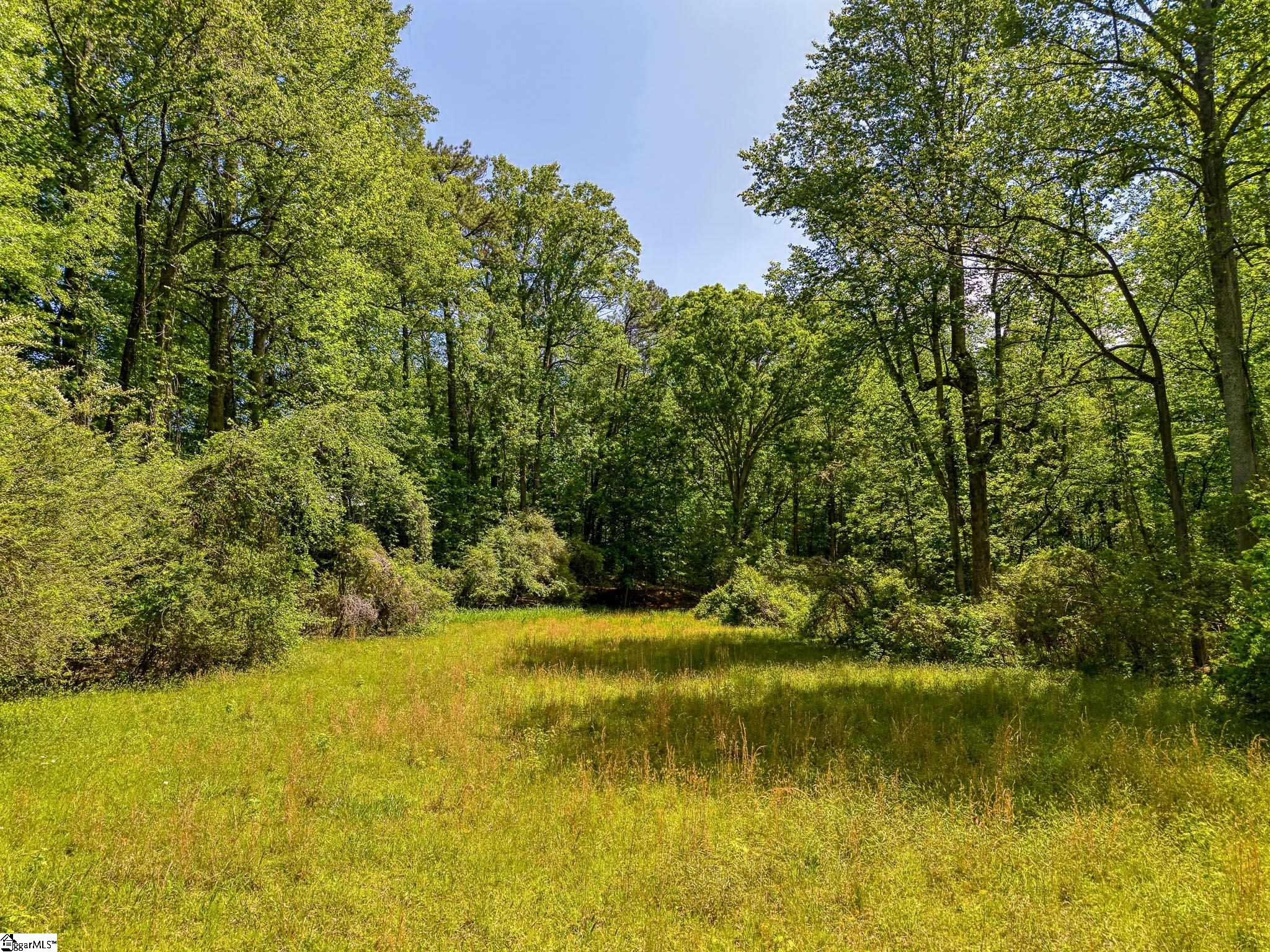 698 Mount Bethel, Sunset, South Carolina image 41