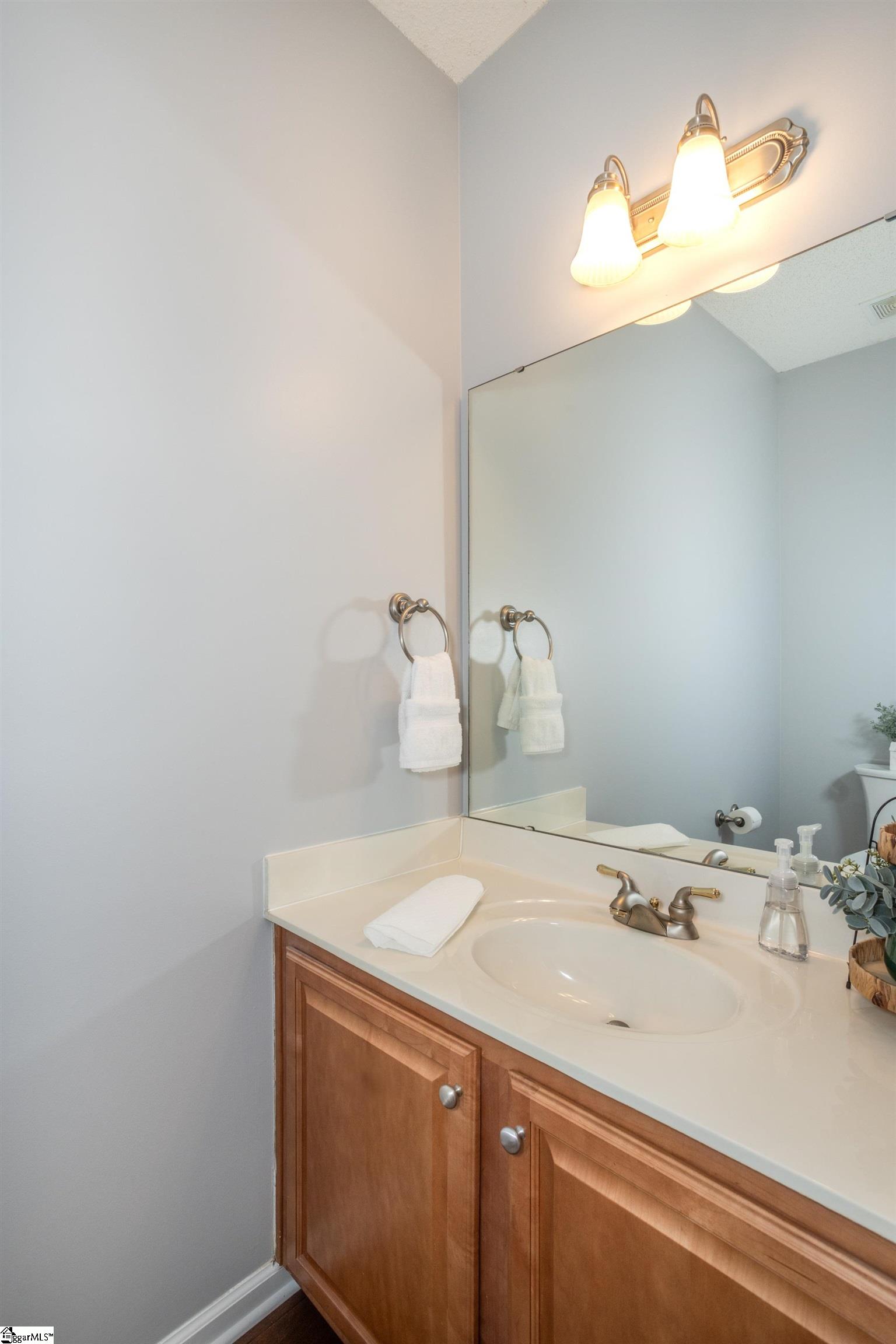 47 Ginger Gold, Simpsonville, South Carolina image 37
