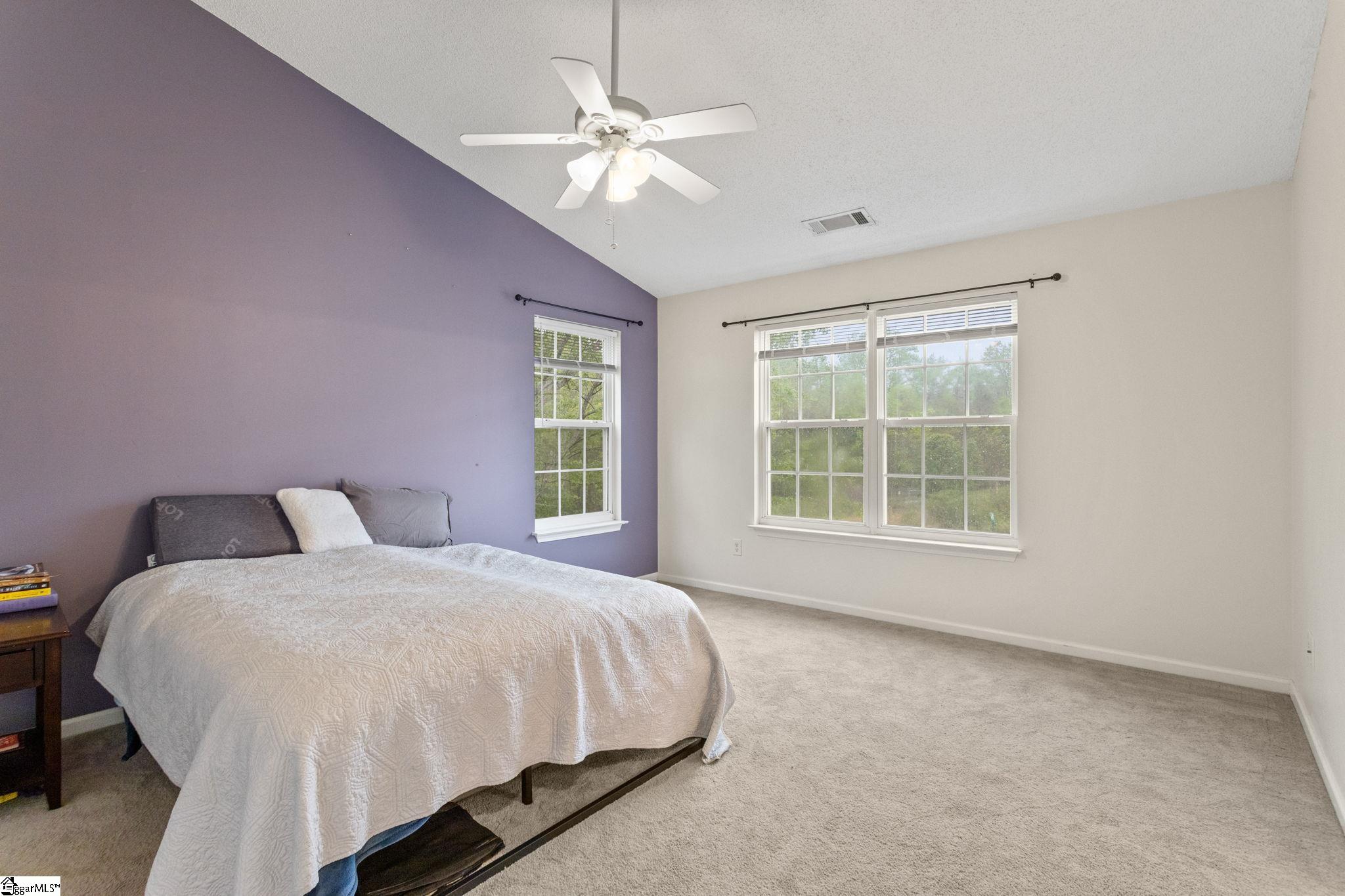 127 Cirrus, Greer, South Carolina image 19