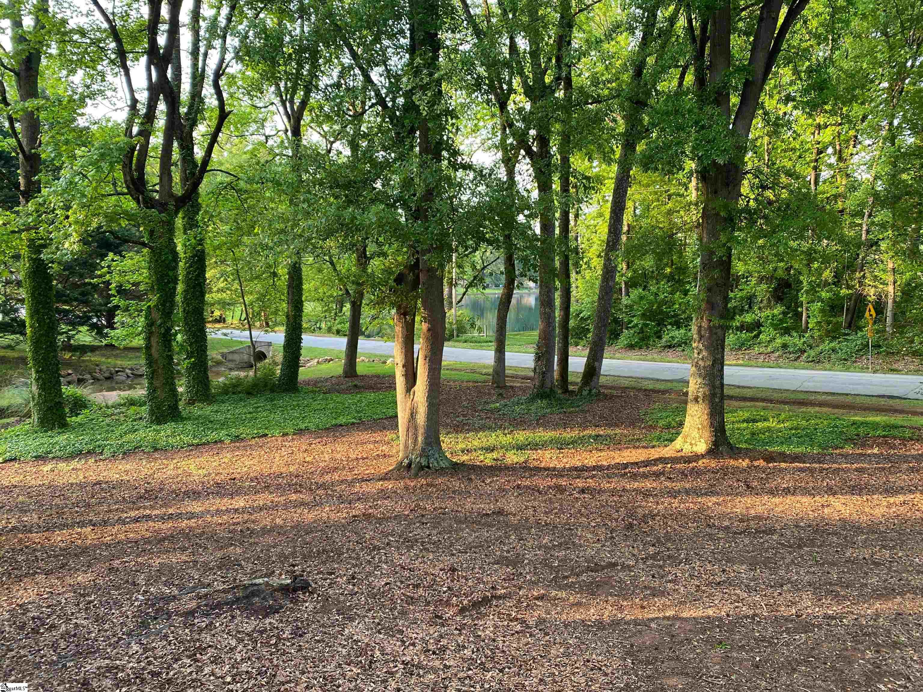 145 Shannon Lake, Greenville, South Carolina image 9
