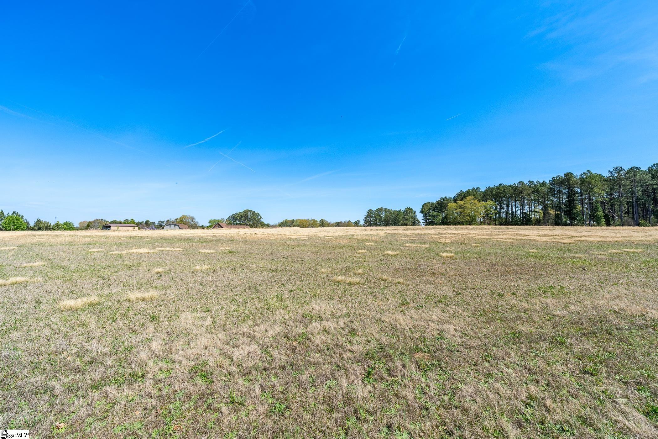 00 Wilsontown, Laurens, South Carolina image 11