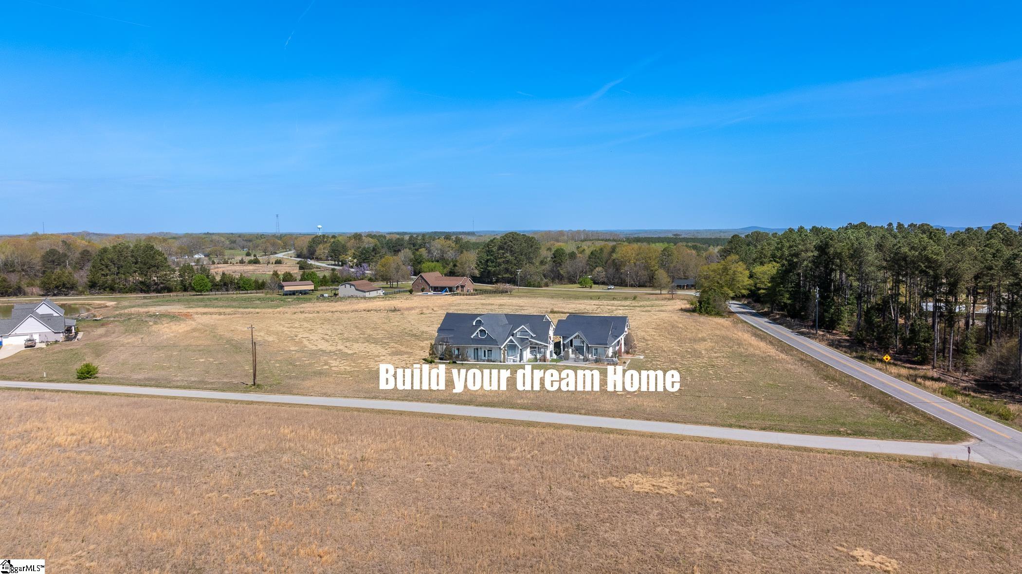 00 Wilsontown, Laurens, South Carolina image 9