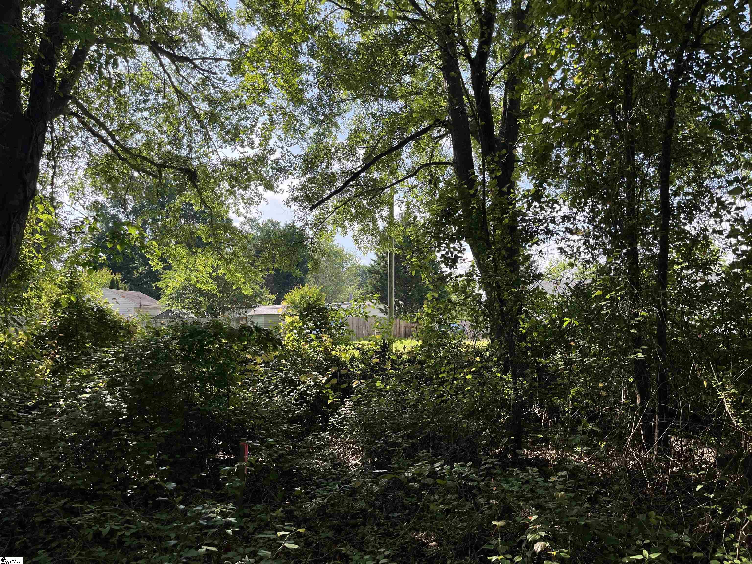 00 Lake Vista, Lyman, South Carolina image 2