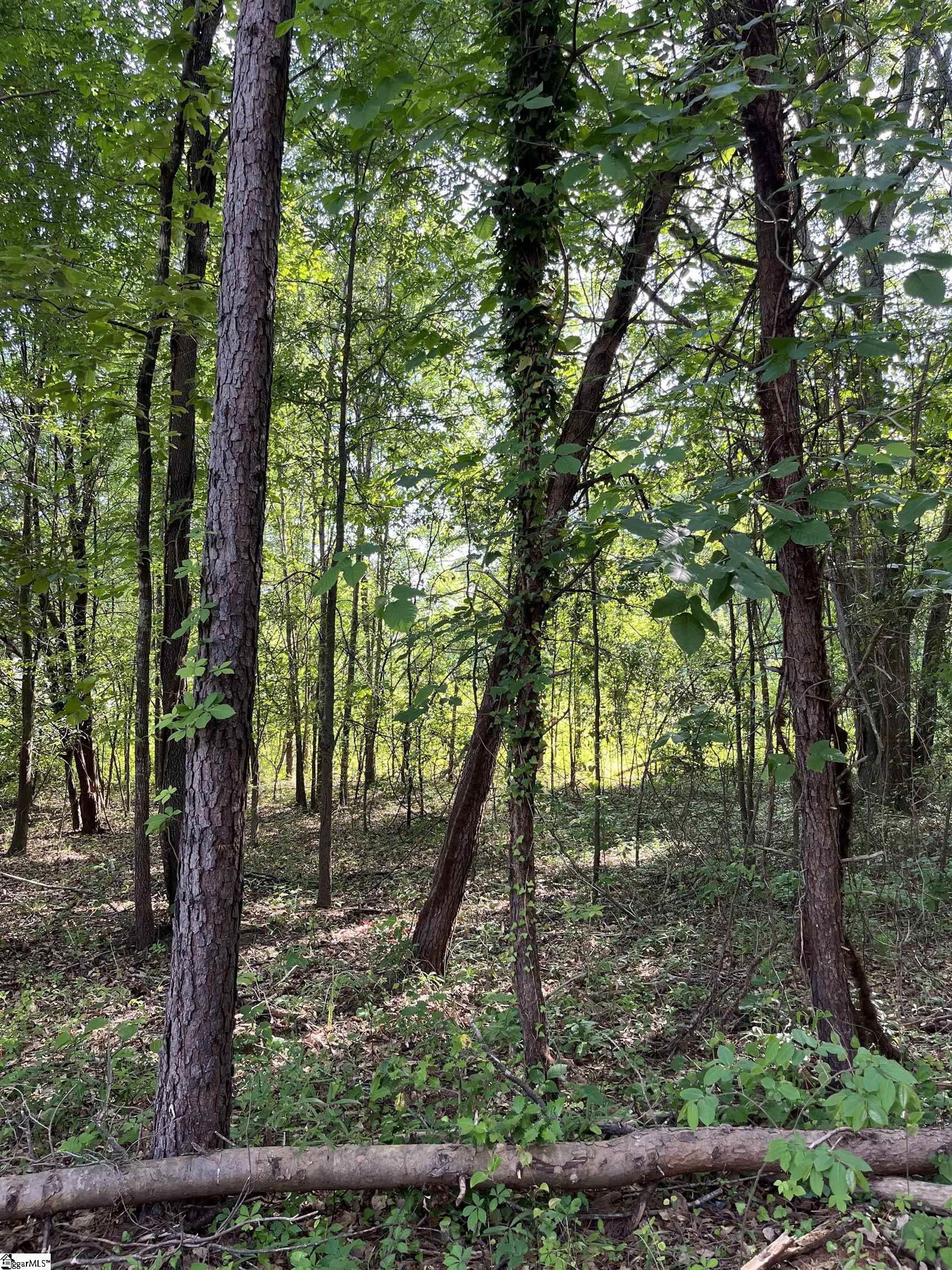 00 Lake Vista, Lyman, South Carolina image 3