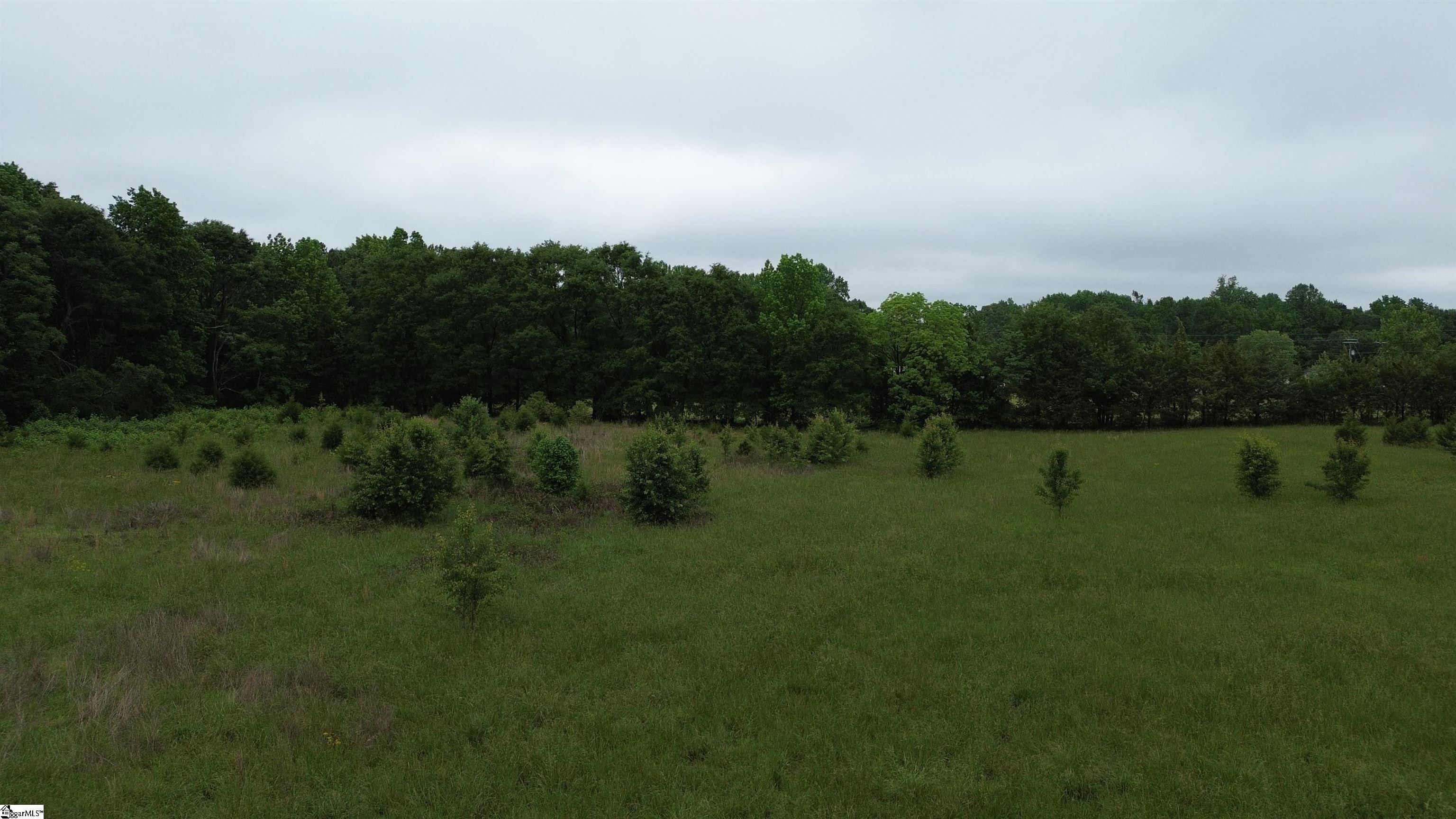 311 Cooper Bridge, Fountain Inn, South Carolina image 11