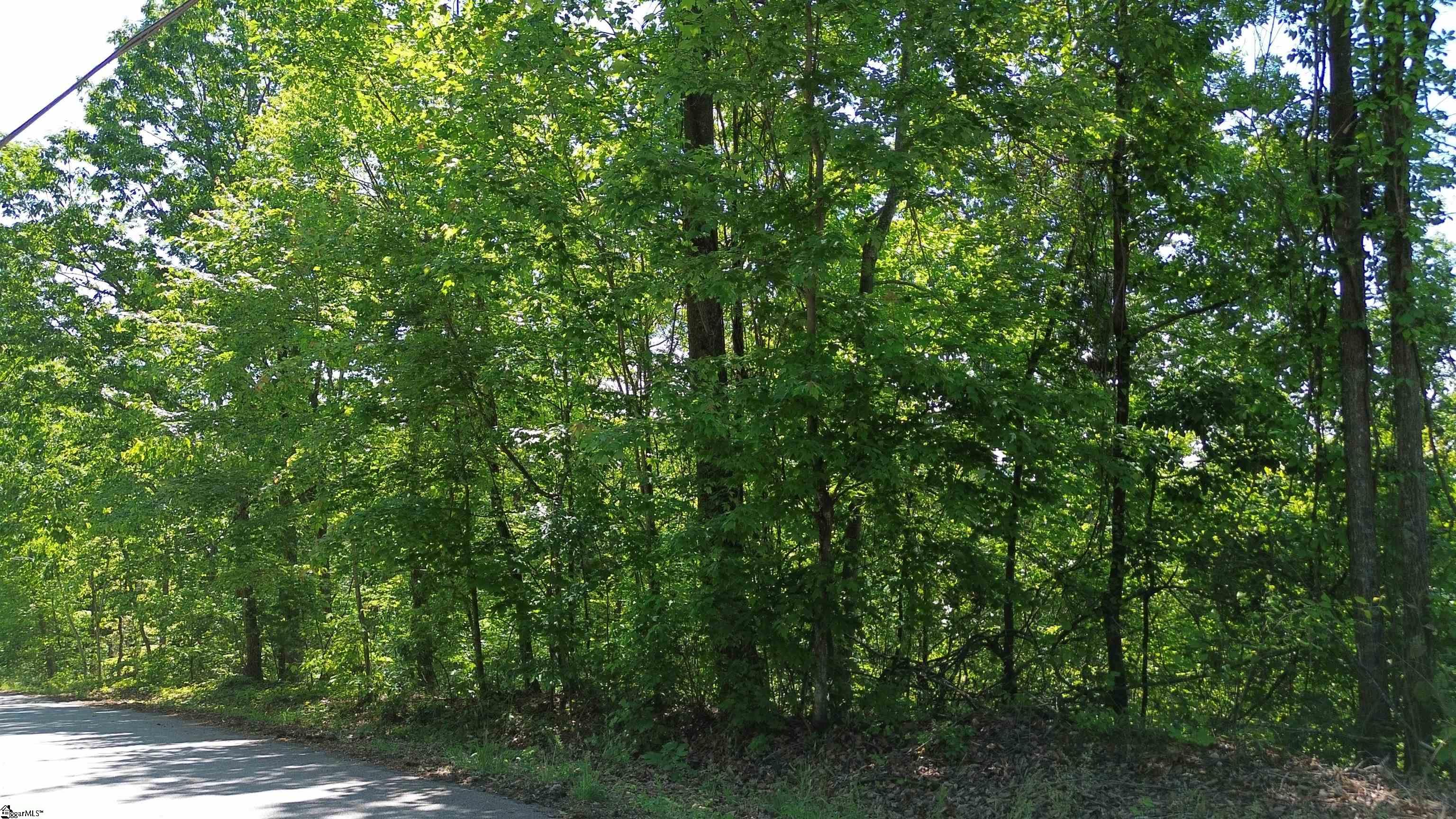 611 Packs Mountain Ridge, Taylors, South Carolina image 1