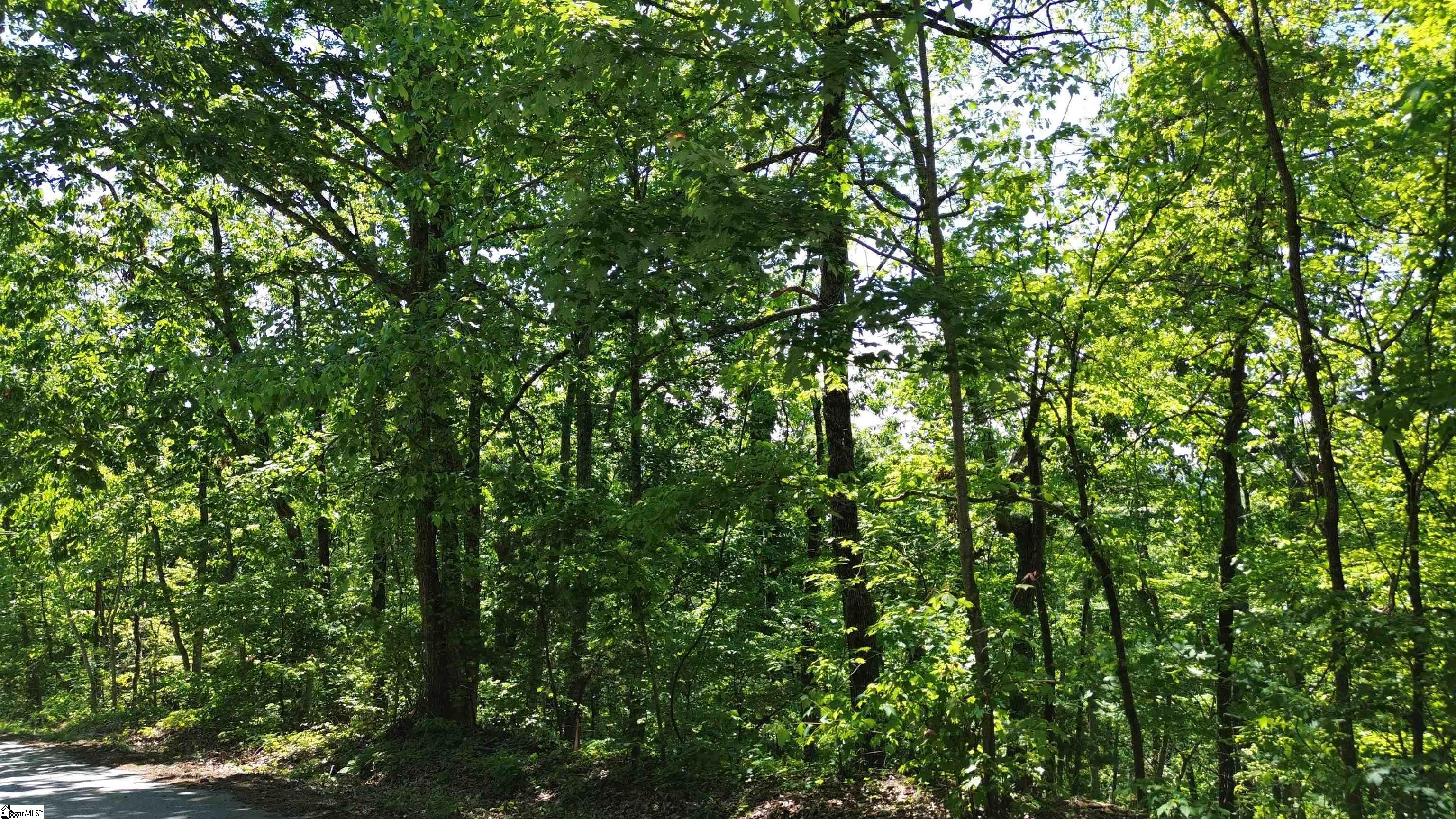 611 Packs Mountain Ridge, Taylors, South Carolina image 2