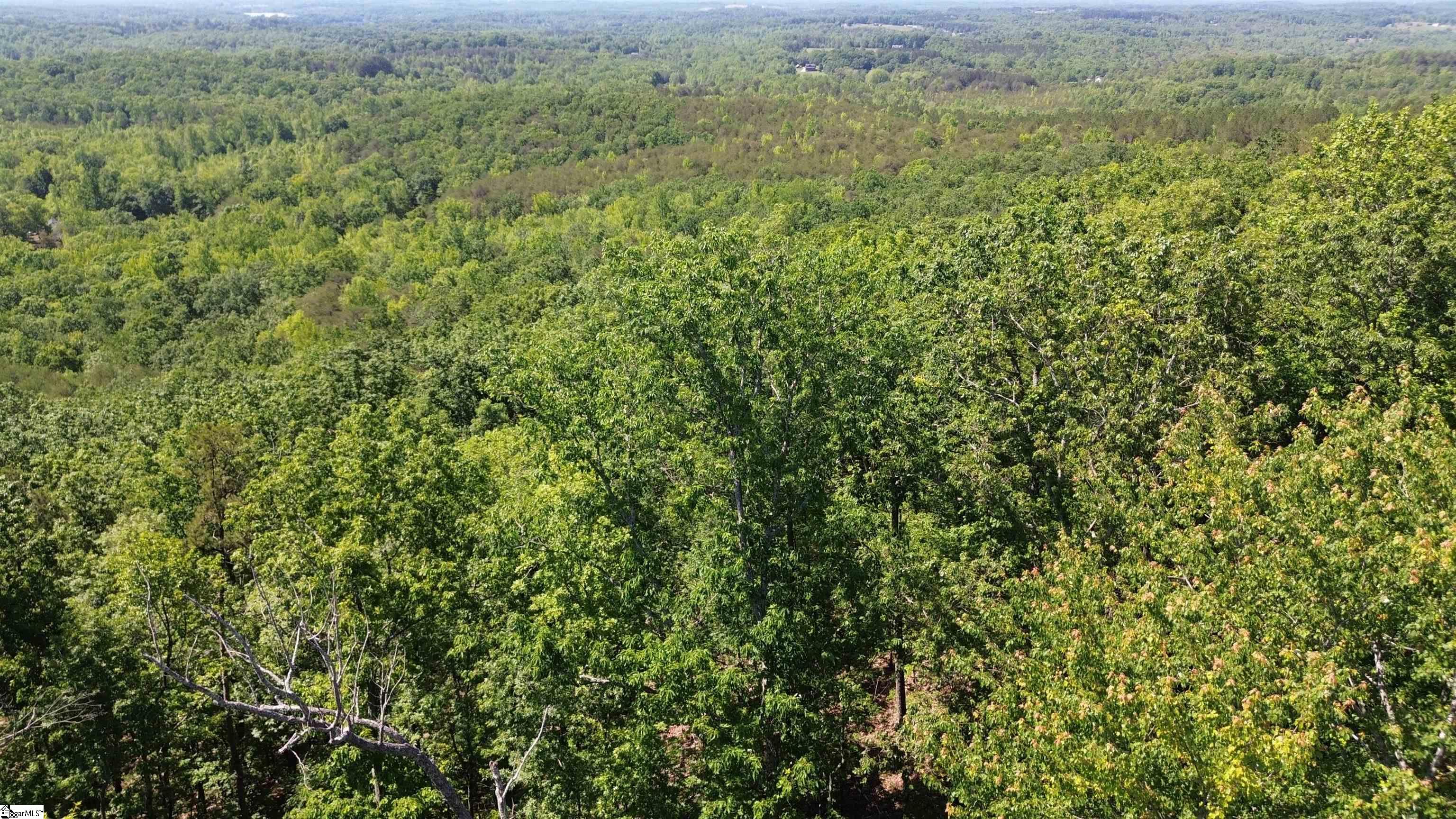 611 Packs Mountain Ridge, Taylors, South Carolina image 3