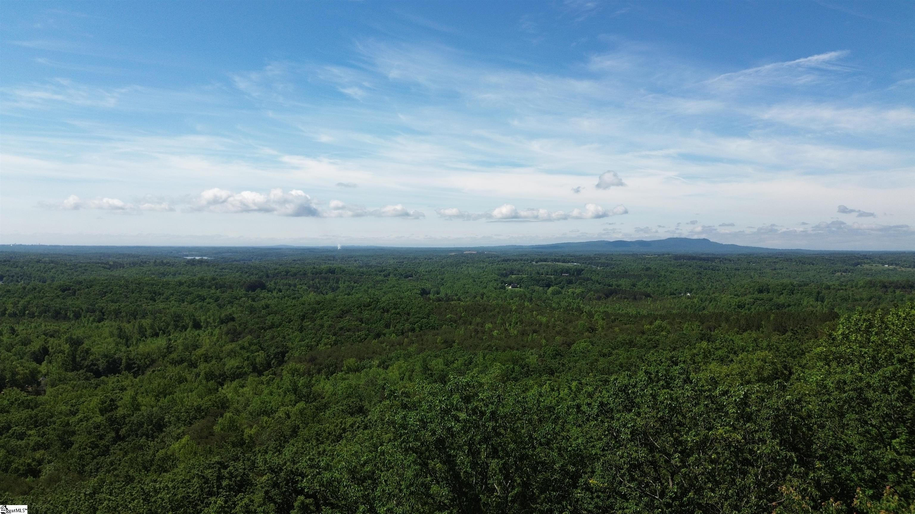 611 Packs Mountain Ridge, Taylors, South Carolina image 4