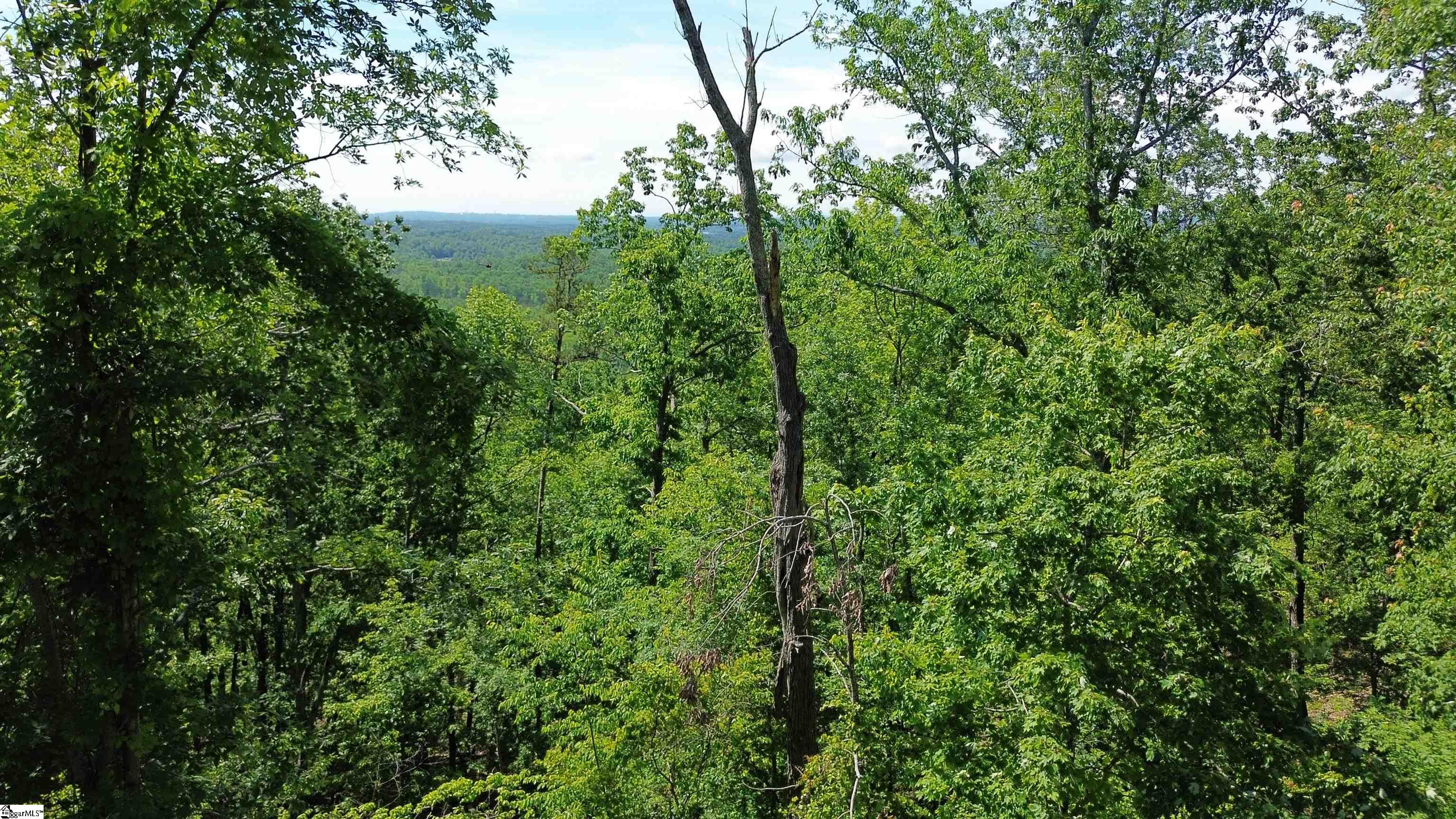 611 Packs Mountain Ridge, Taylors, South Carolina image 5