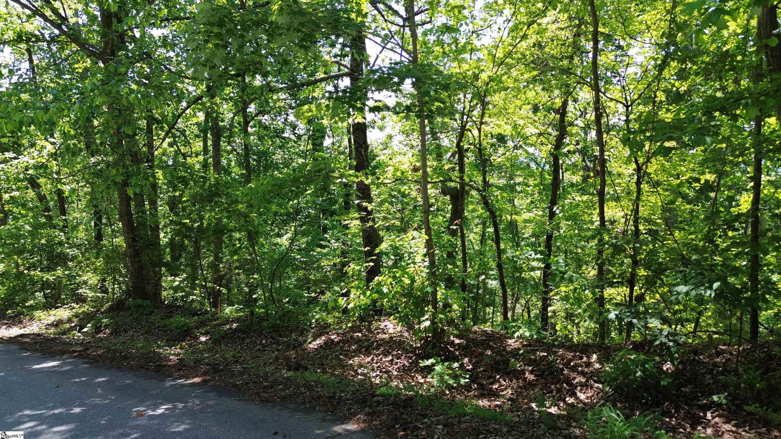 611 Packs Mountain Ridge, Taylors, South Carolina image 6
