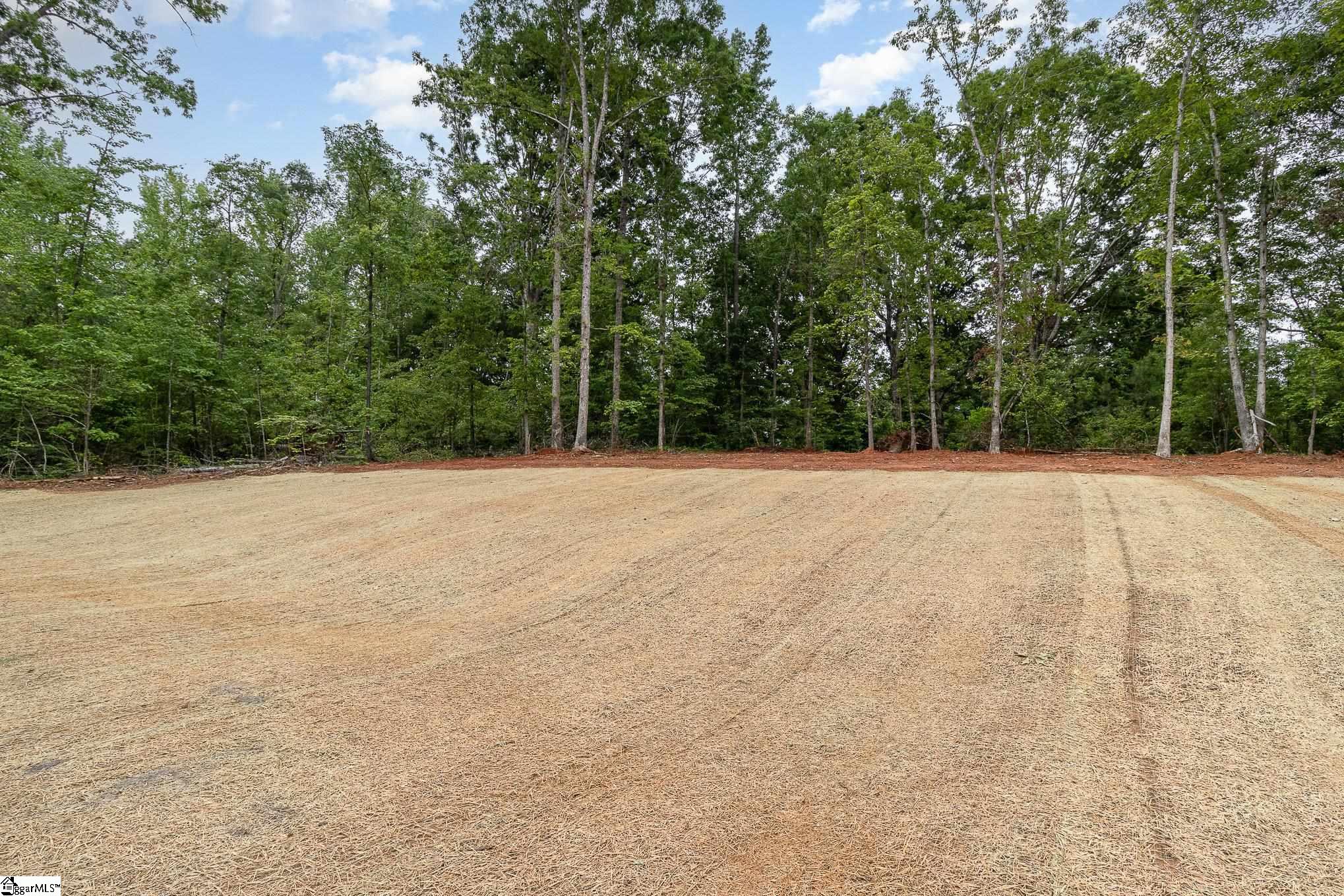 647 Narrow, Inman, South Carolina image 34