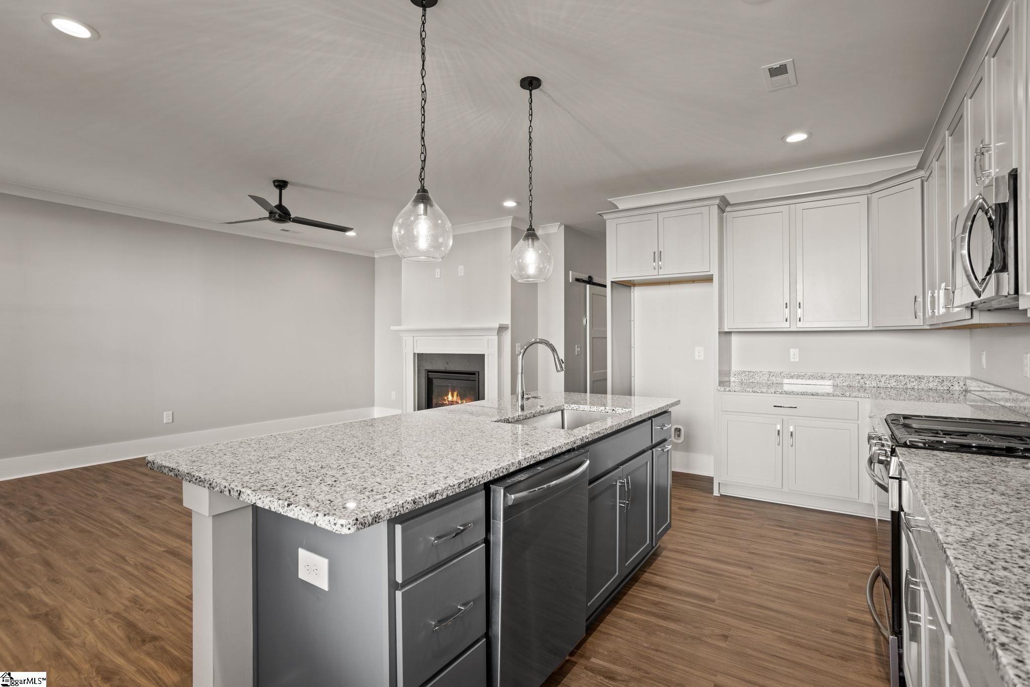 1325 S Pinot, Duncan, South Carolina image 6