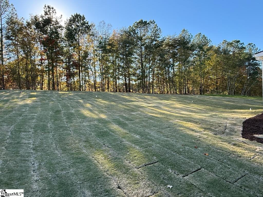 MLS #1557128 image #18