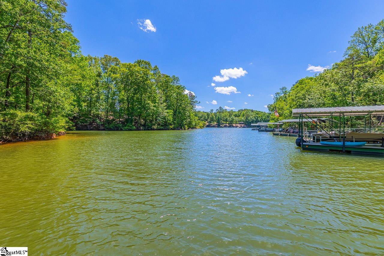 290 Coves End, Seneca, South Carolina image 48