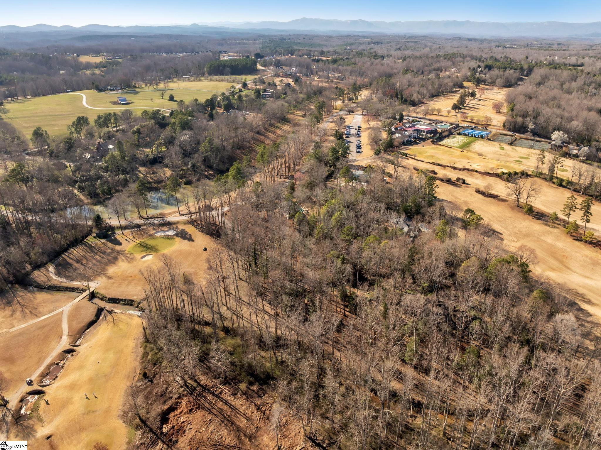 20 Galax, Greenville, South Carolina image 4