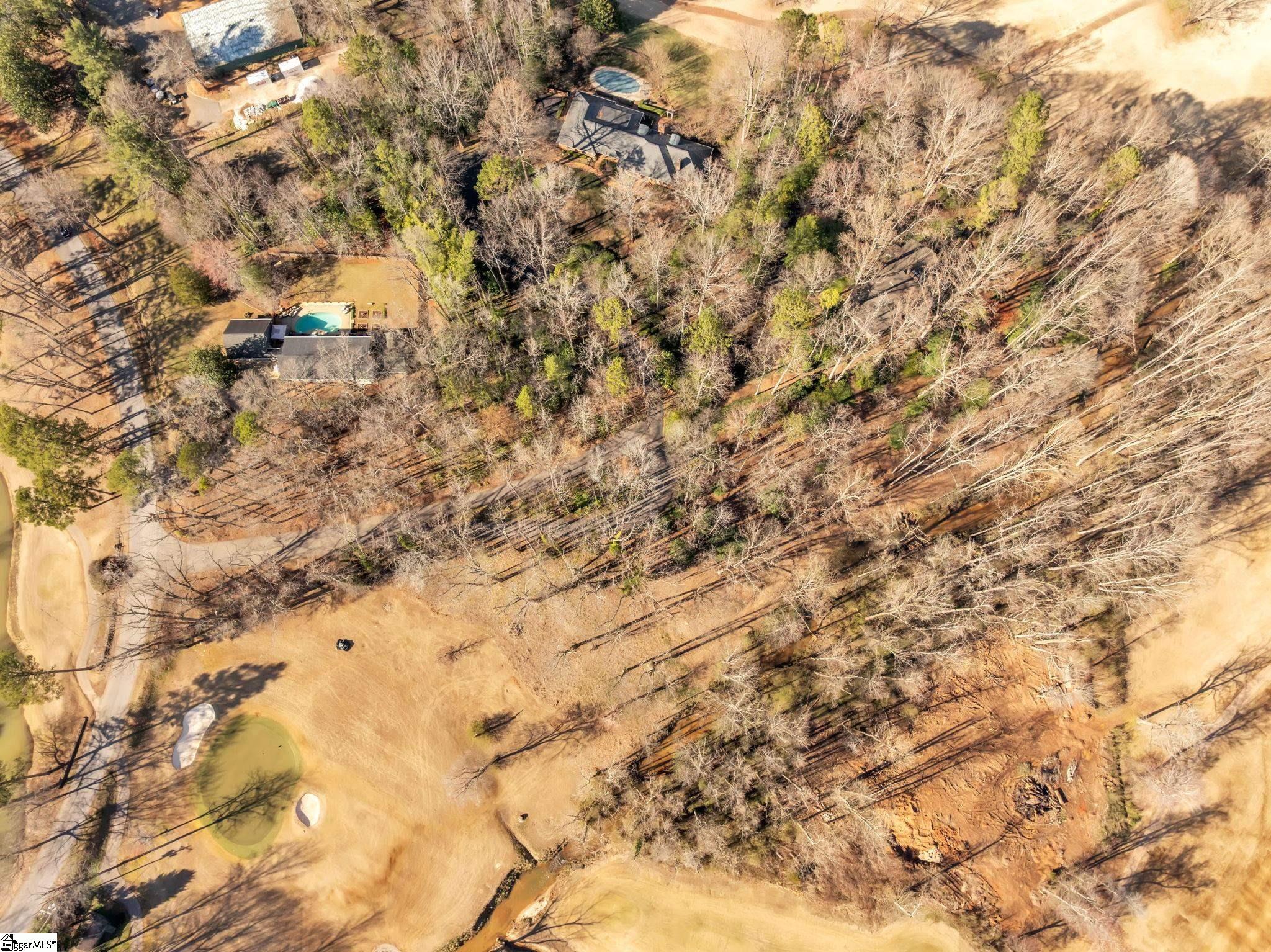 20 Galax, Greenville, South Carolina image 7