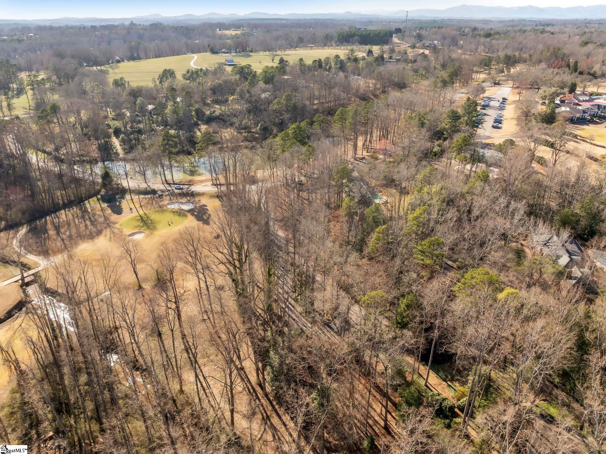 20 Galax, Greenville, South Carolina image 10