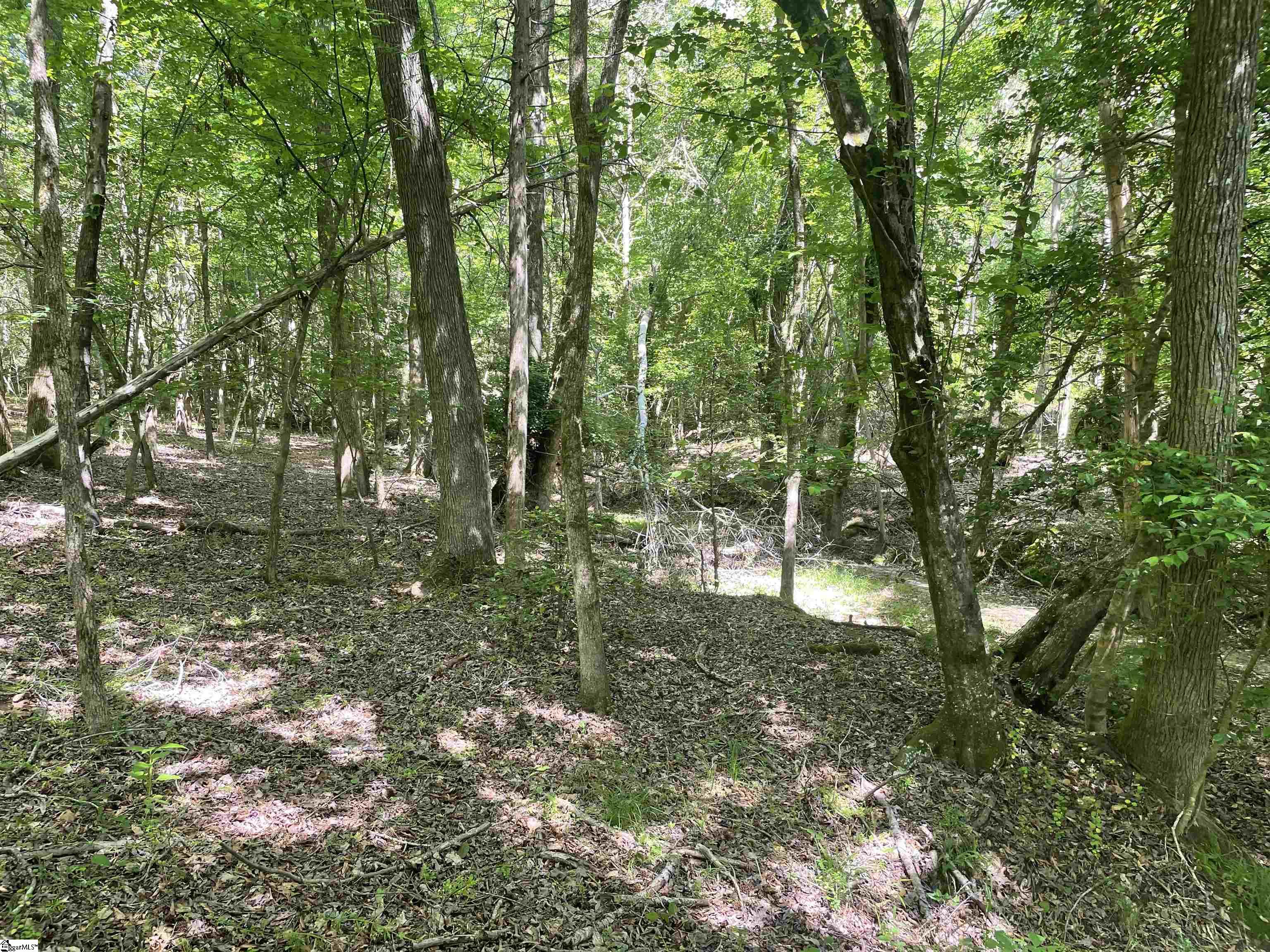00 Lincoln, Gray Court, South Carolina image 4