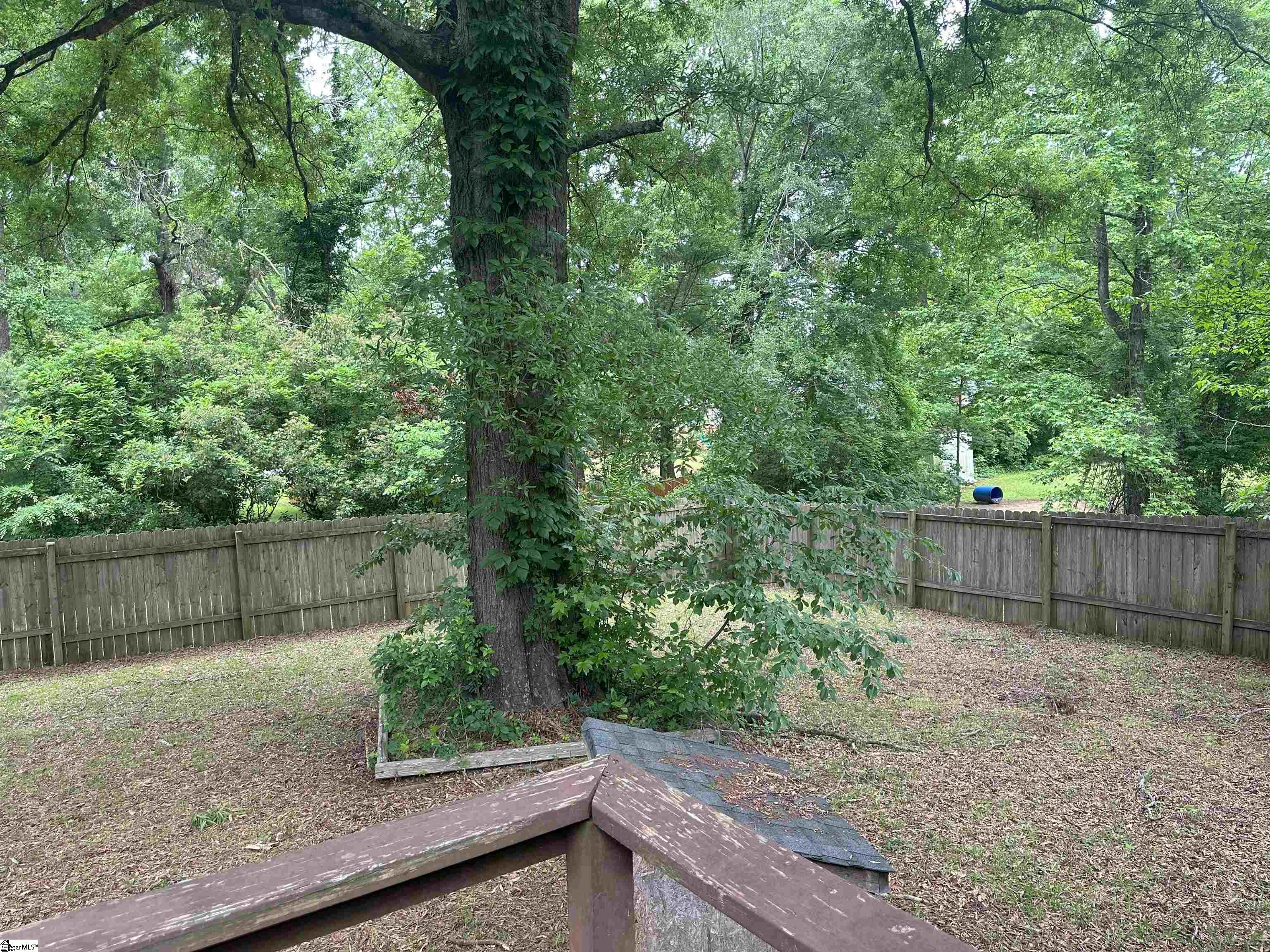 143 Lawton, Greenwood, South Carolina image 27