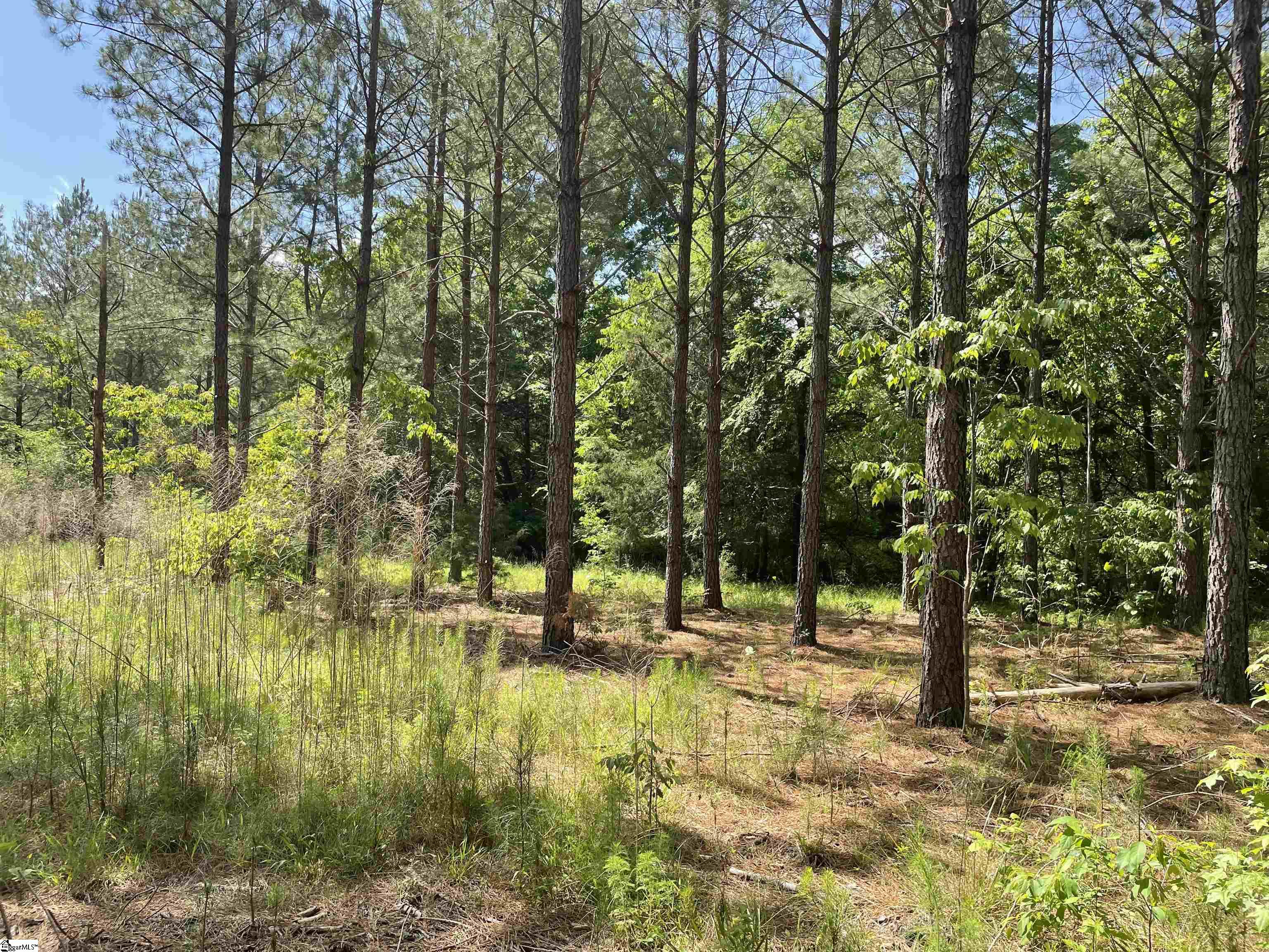 00 Lincoln, Gray Court, South Carolina image 11