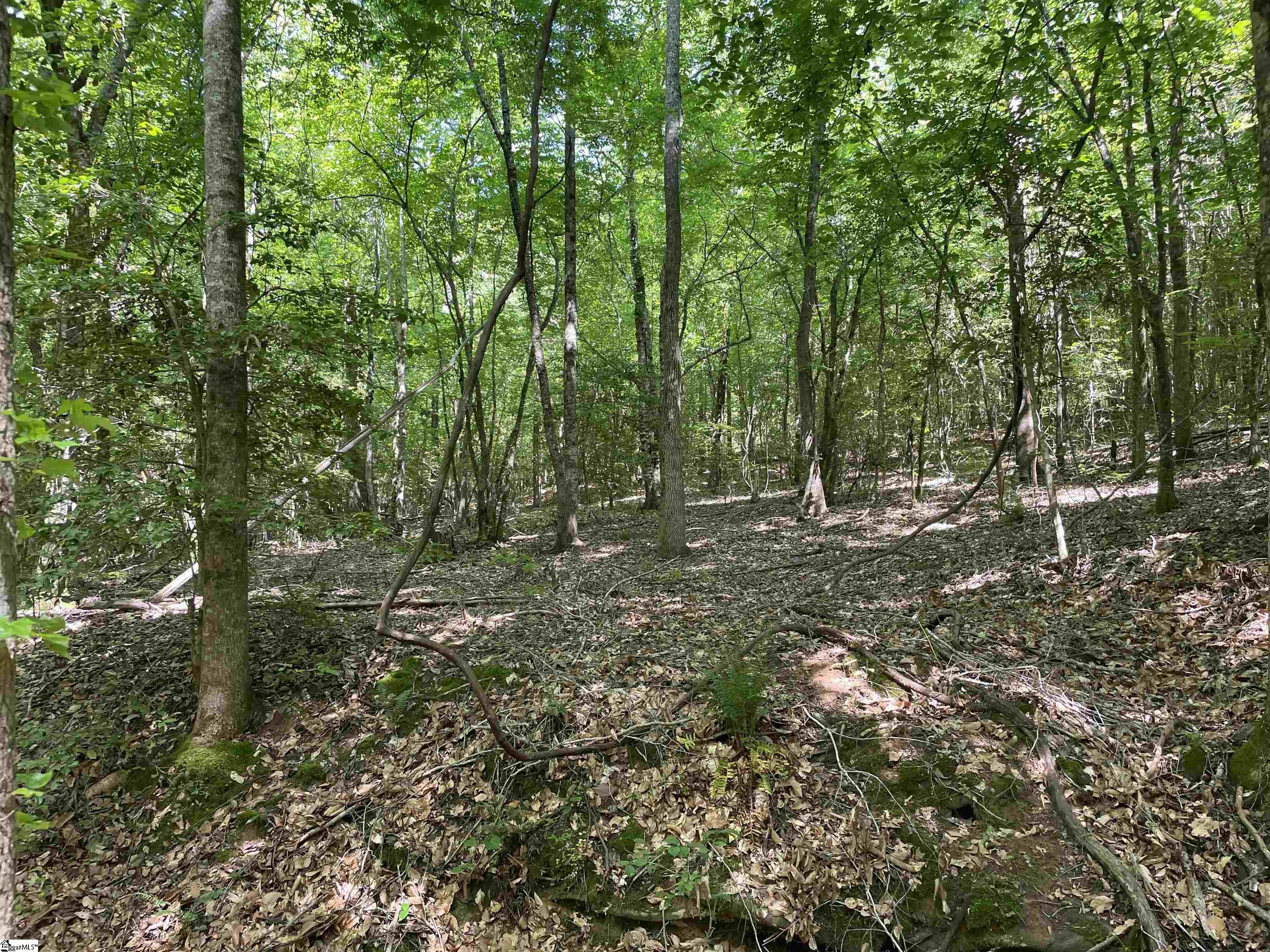 00 Lincoln, Gray Court, South Carolina image 6