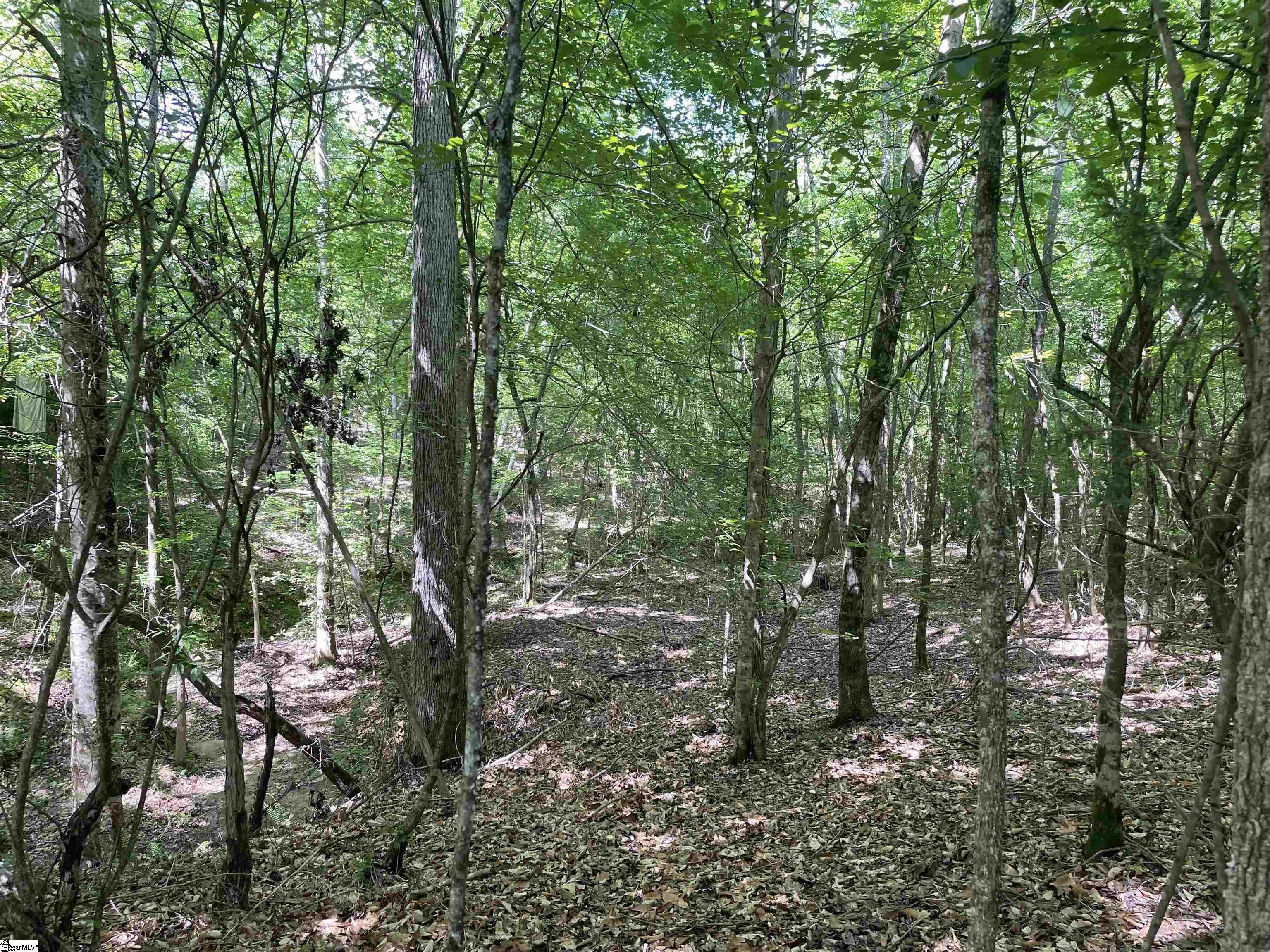 00 Lincoln, Gray Court, South Carolina image 7