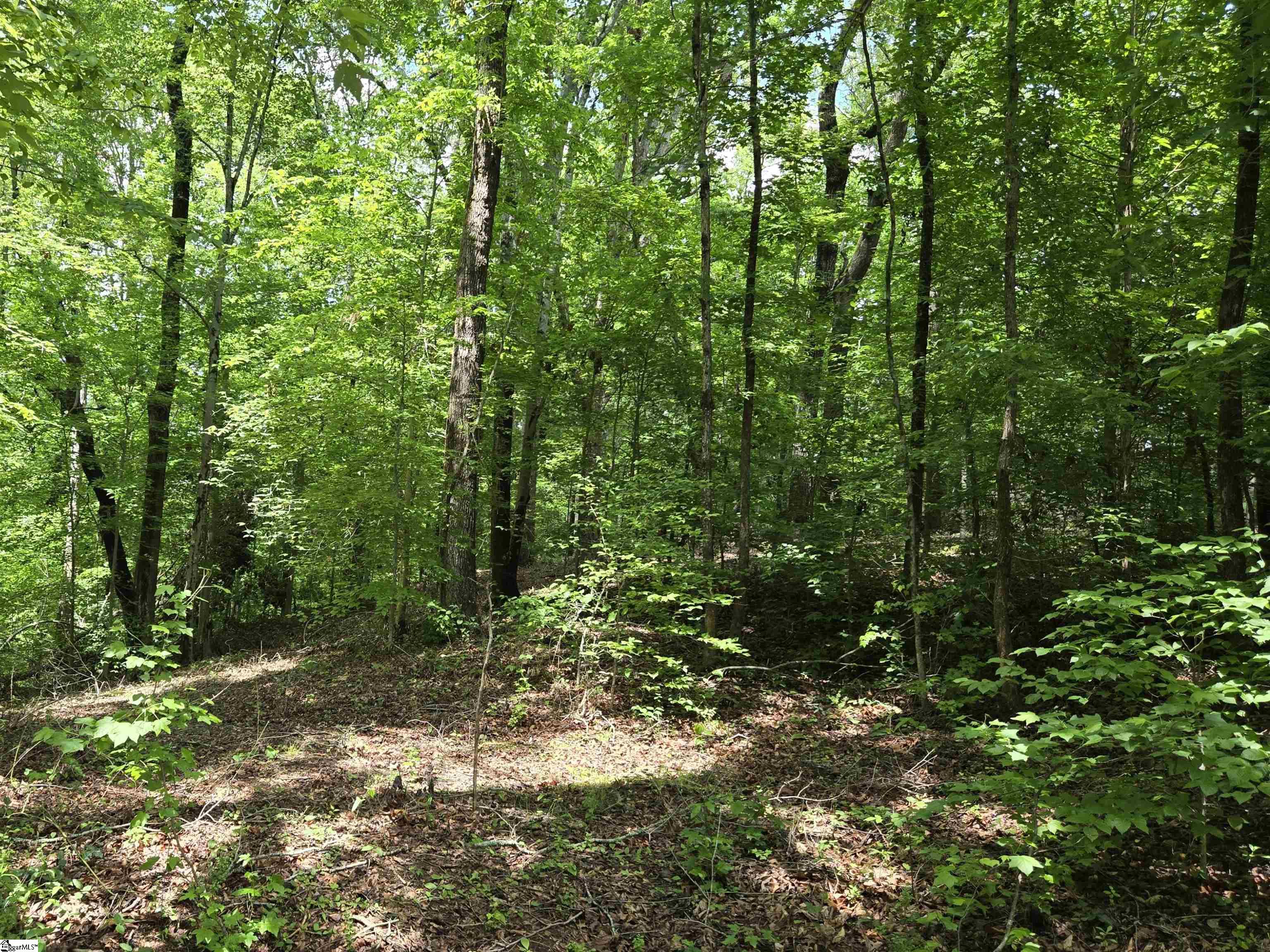 00 Ross, Starr, South Carolina image 3