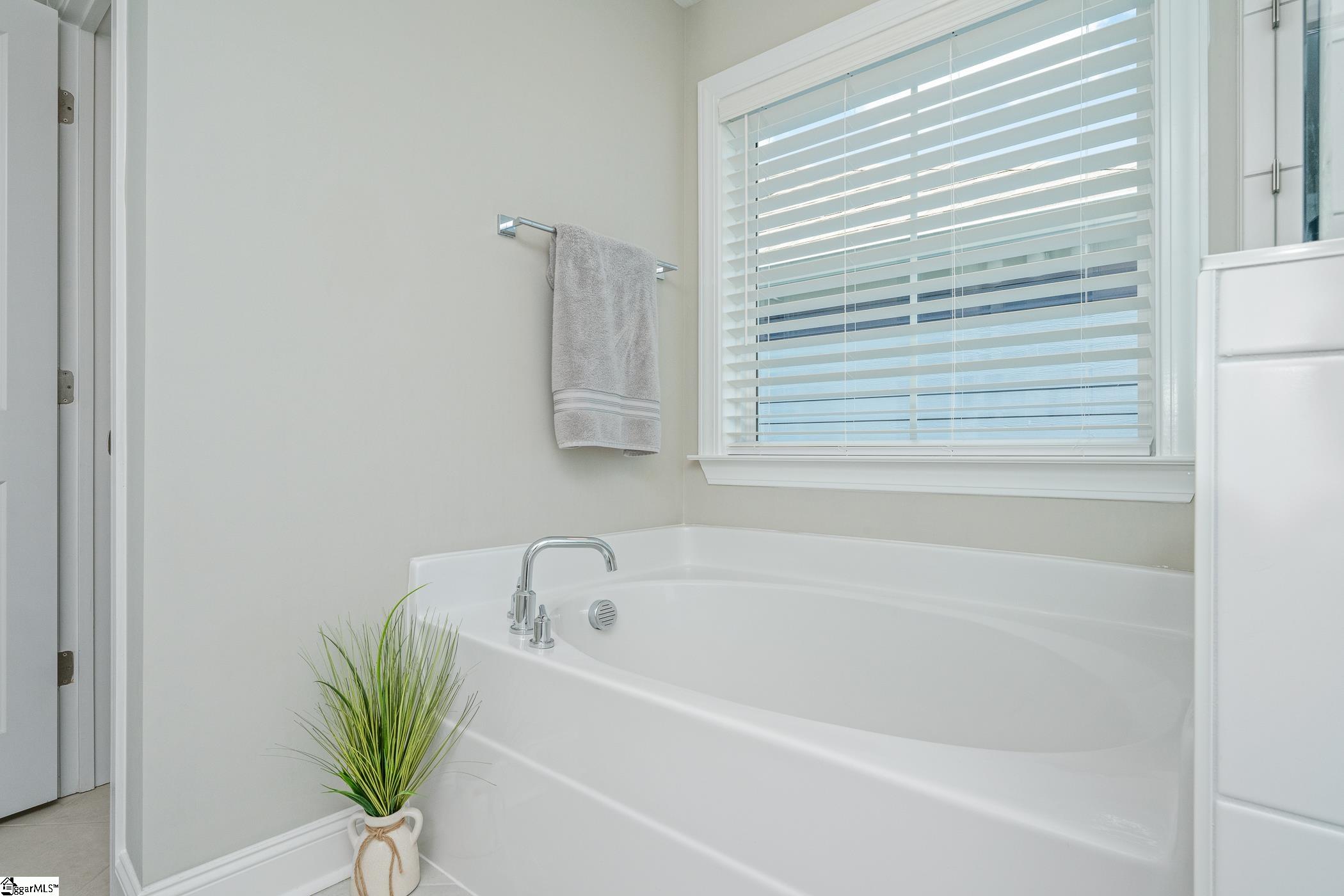 10 Lewes, Simpsonville, South Carolina image 36