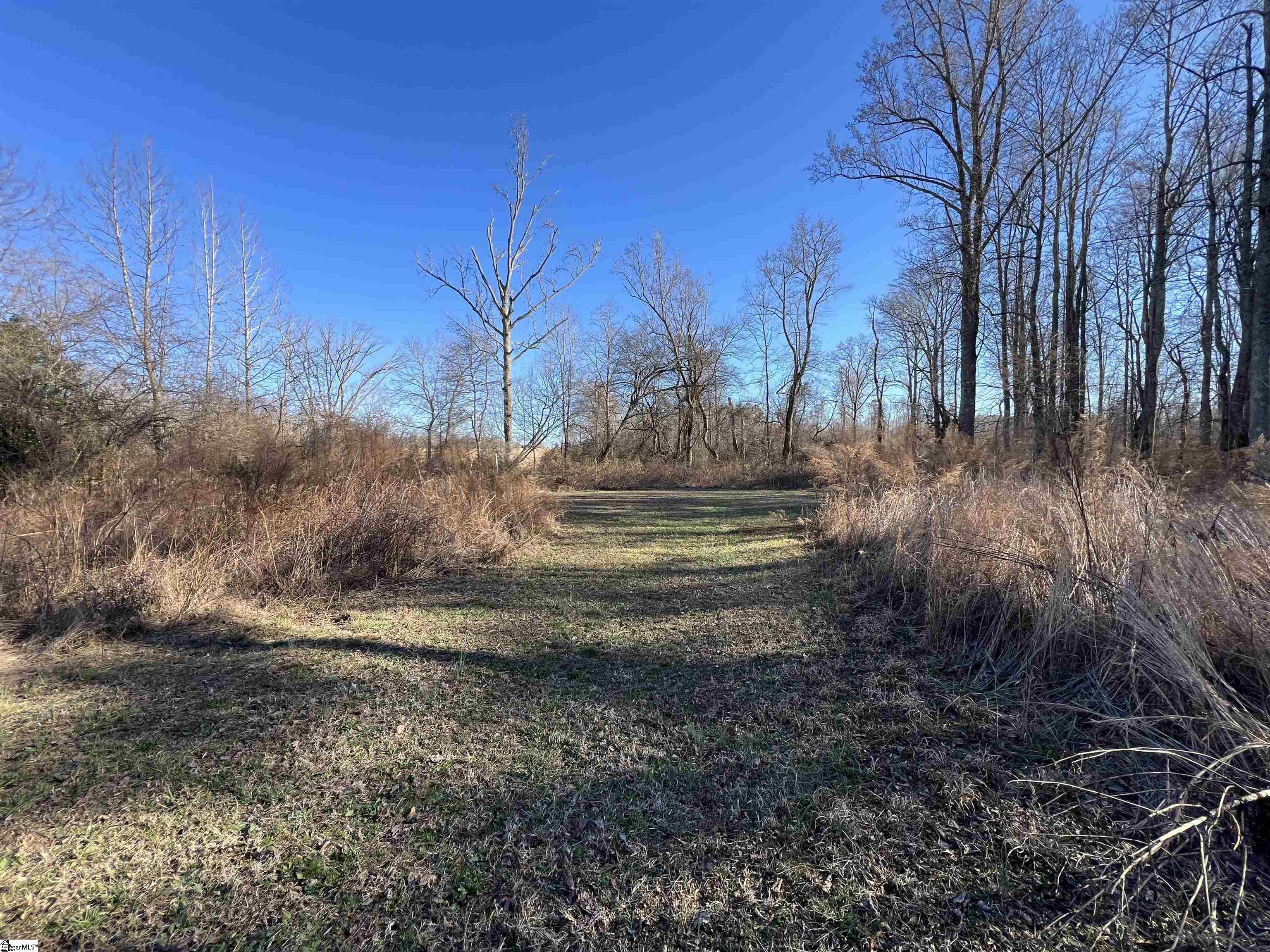 182 Tory, Cowpens, South Carolina image 21