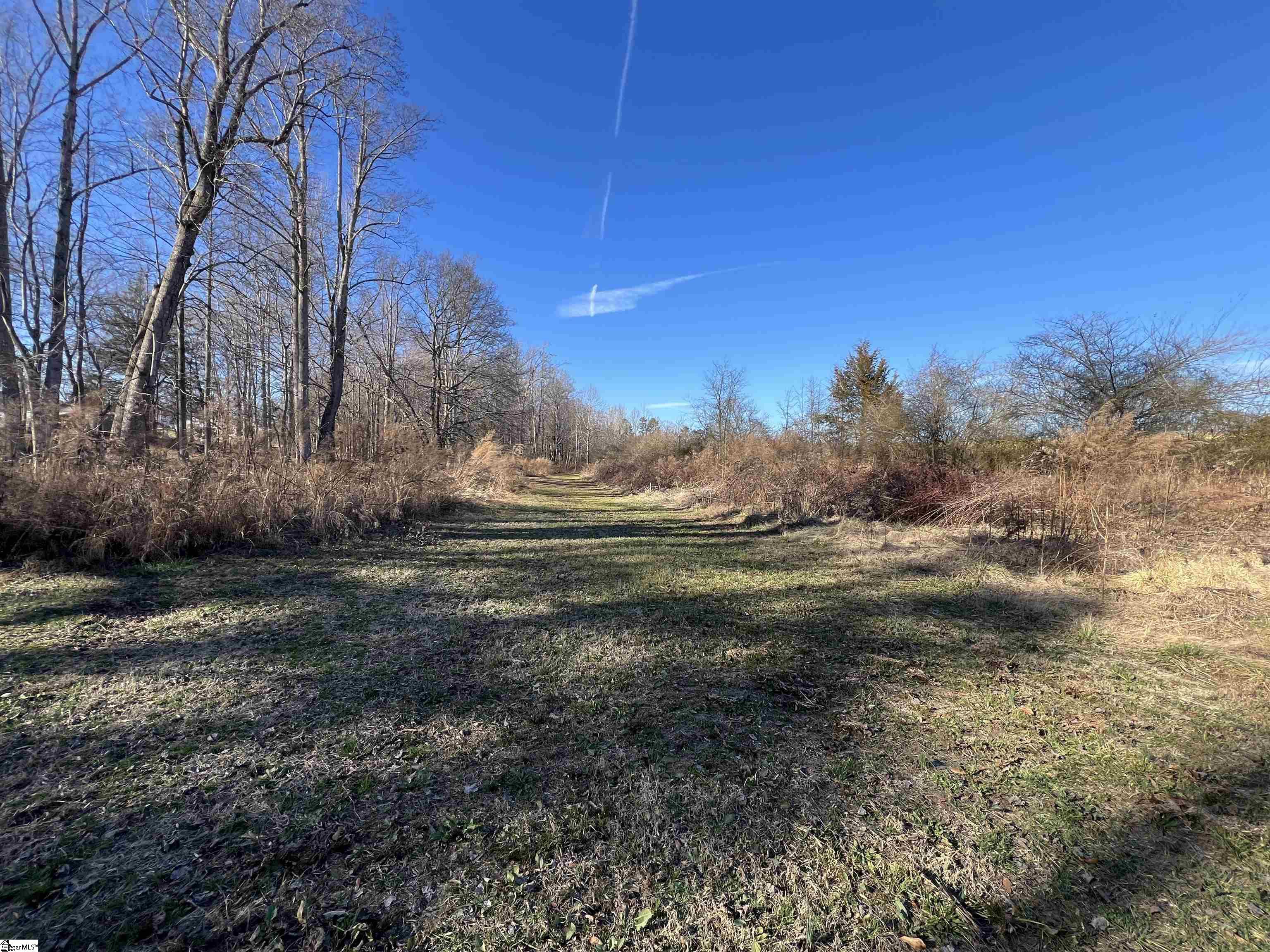 182 Tory, Cowpens, South Carolina image 22