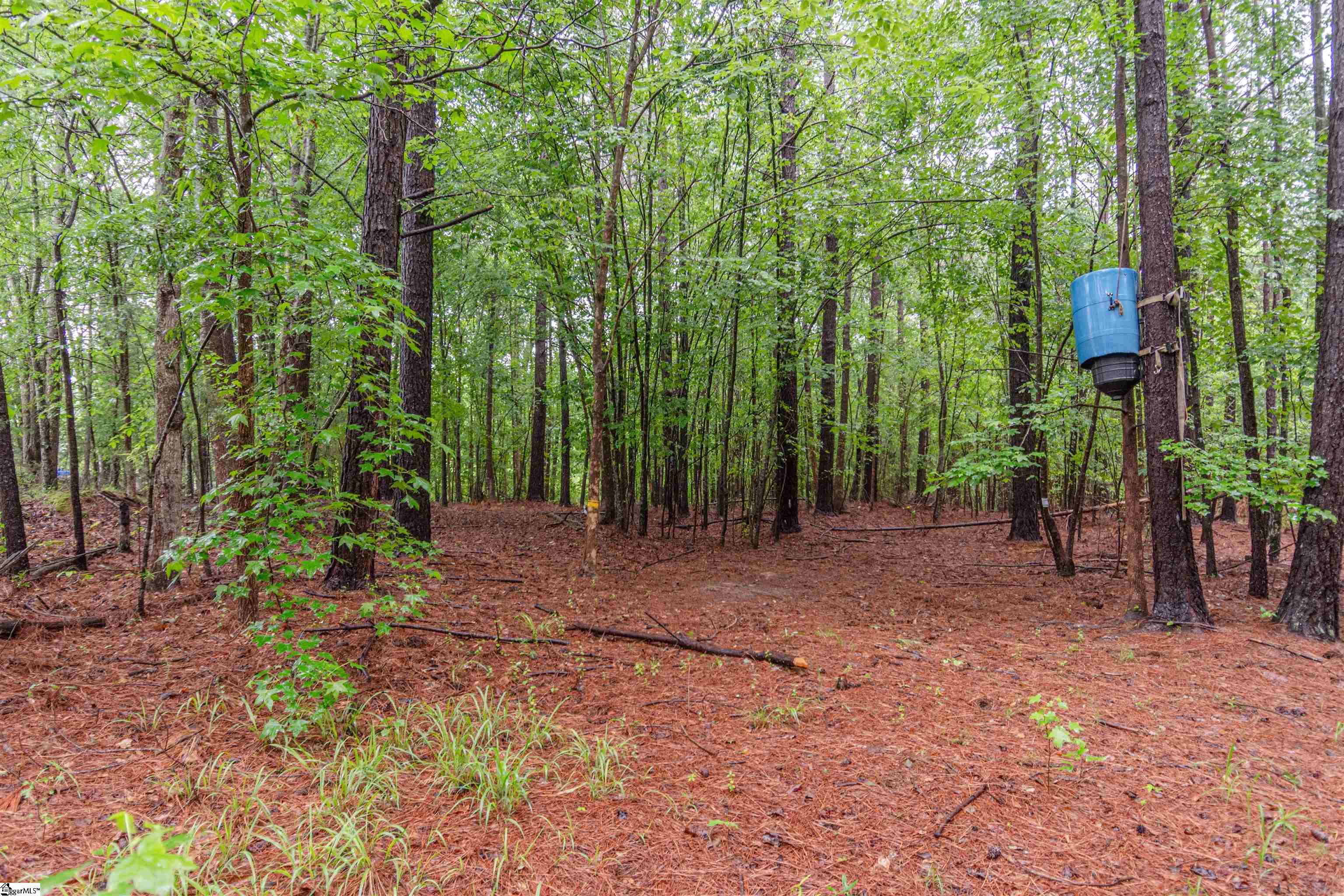 156 Spencer, Jonesville, South Carolina image 12