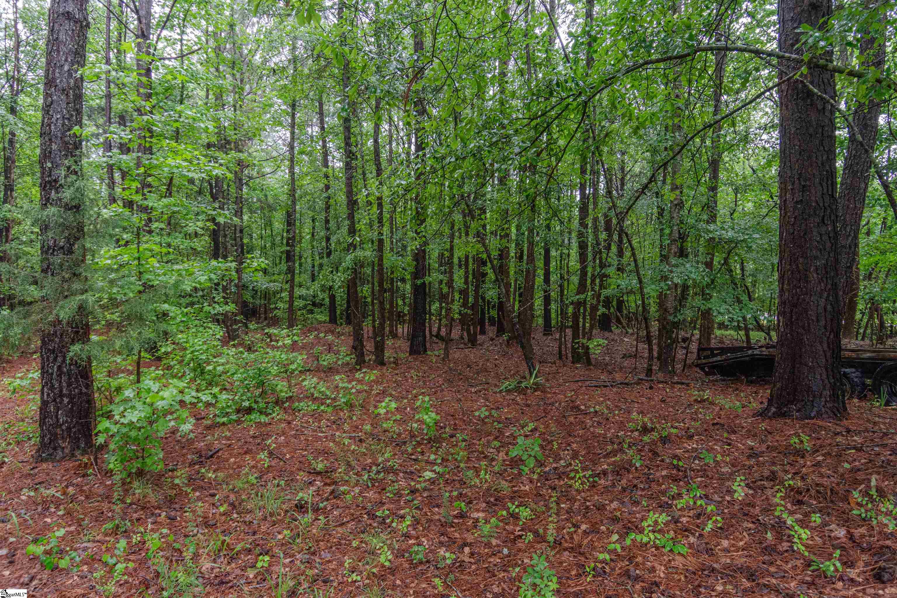 156 Spencer, Jonesville, South Carolina image 13