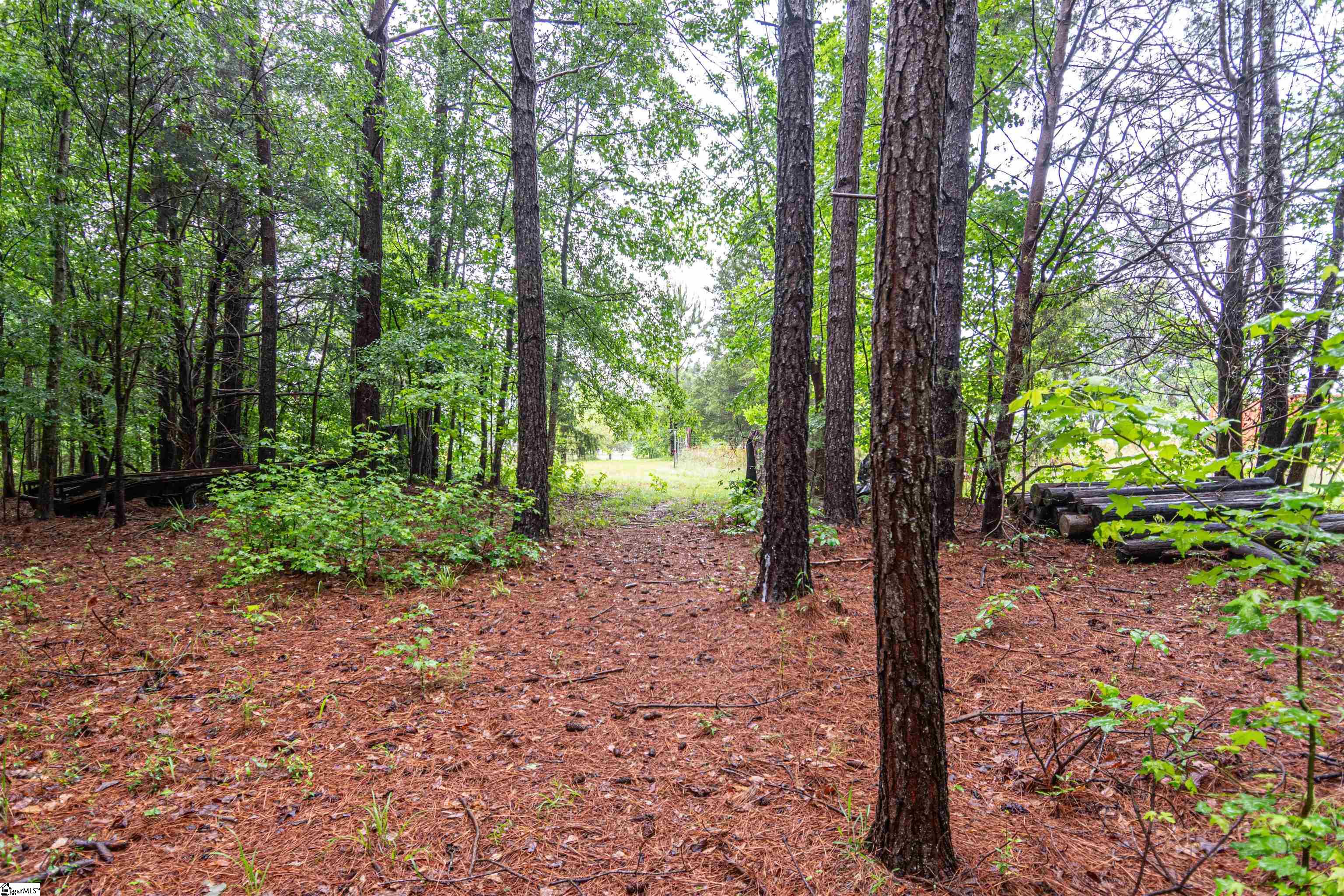 156 Spencer, Jonesville, South Carolina image 14
