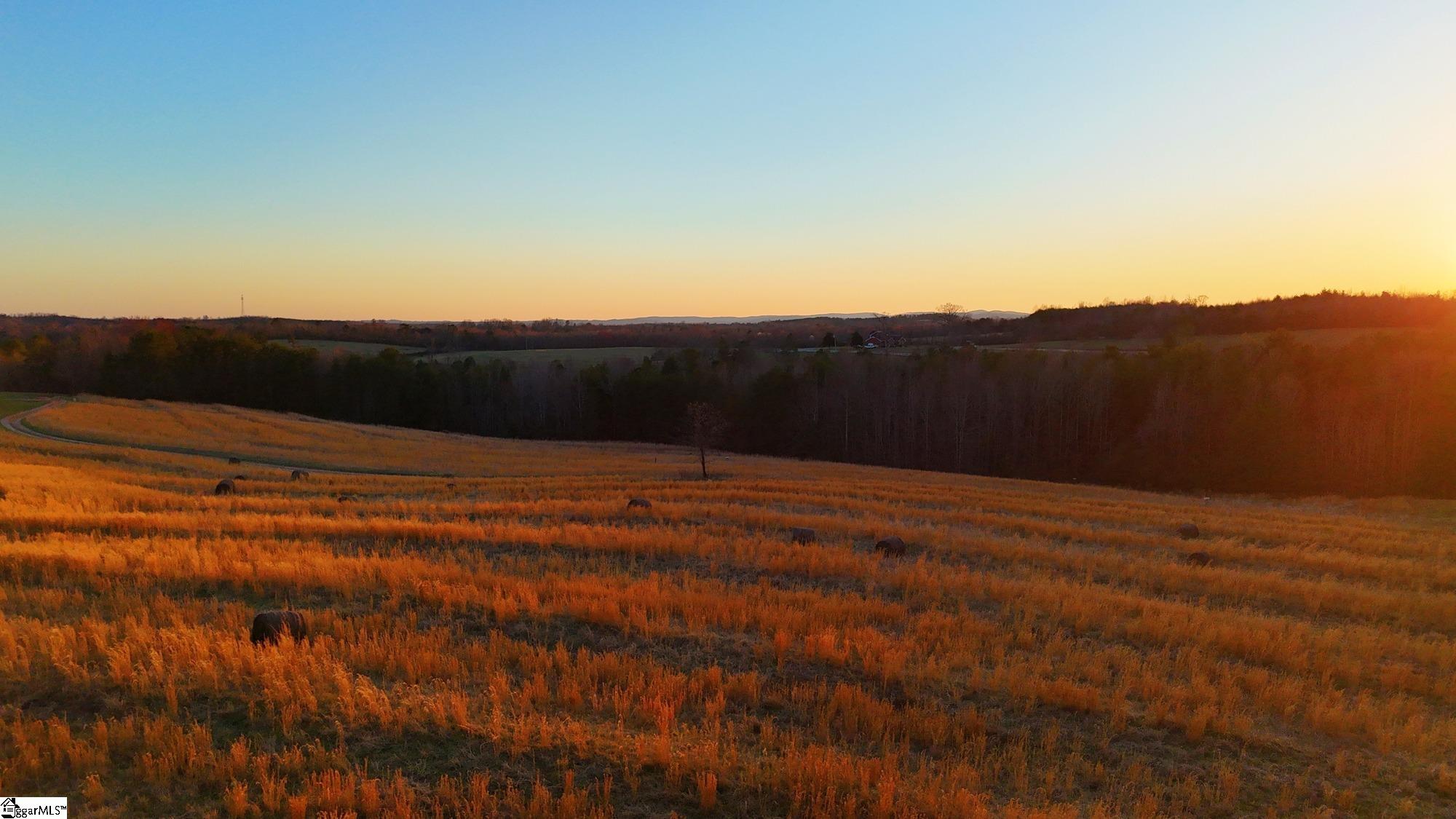 142 Mace, Casar, North Carolina image 32