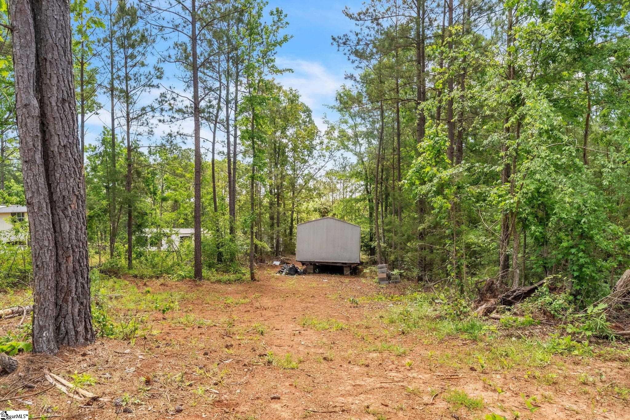 669 River Fork, Waterloo, South Carolina image 4