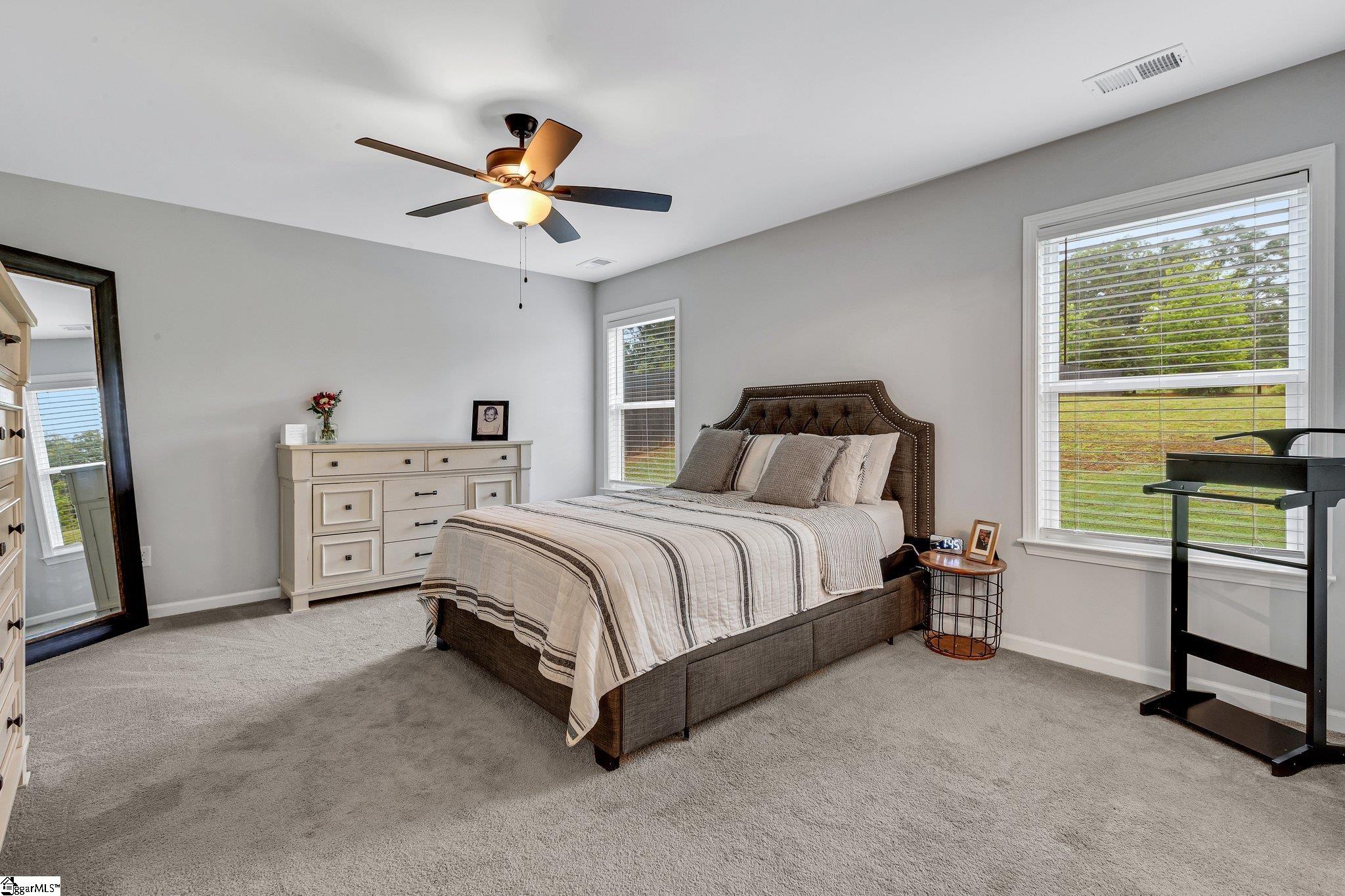 714 Chestnut, Laurens, South Carolina image 18