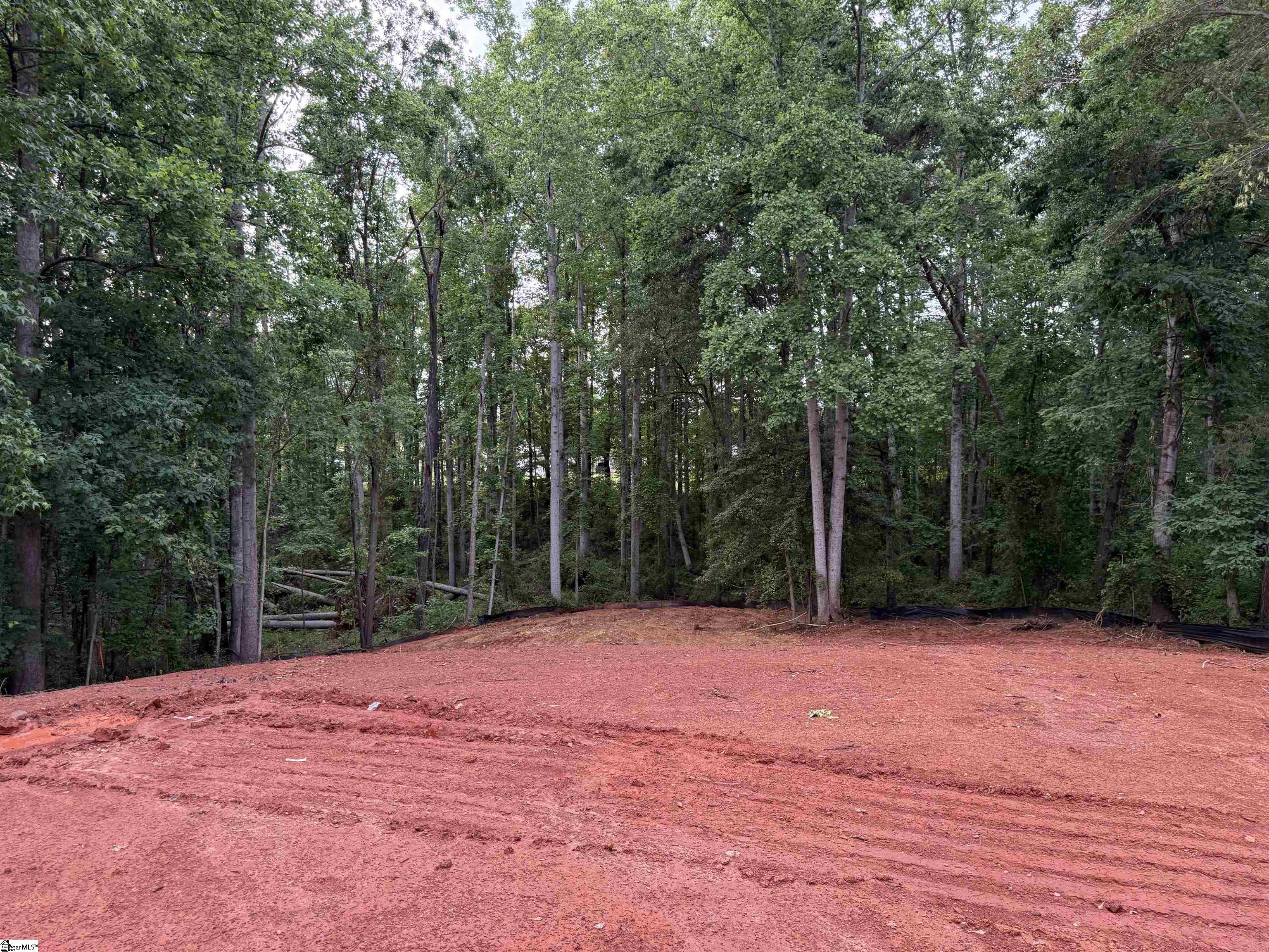 210 Foxfire, Cowpens, South Carolina image 3