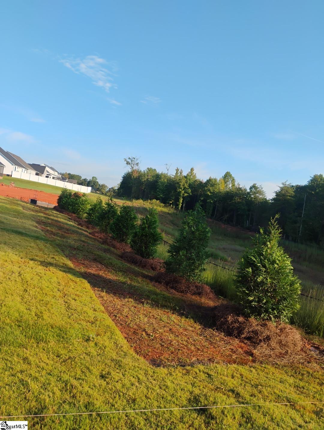 MLS #1557538 image #25