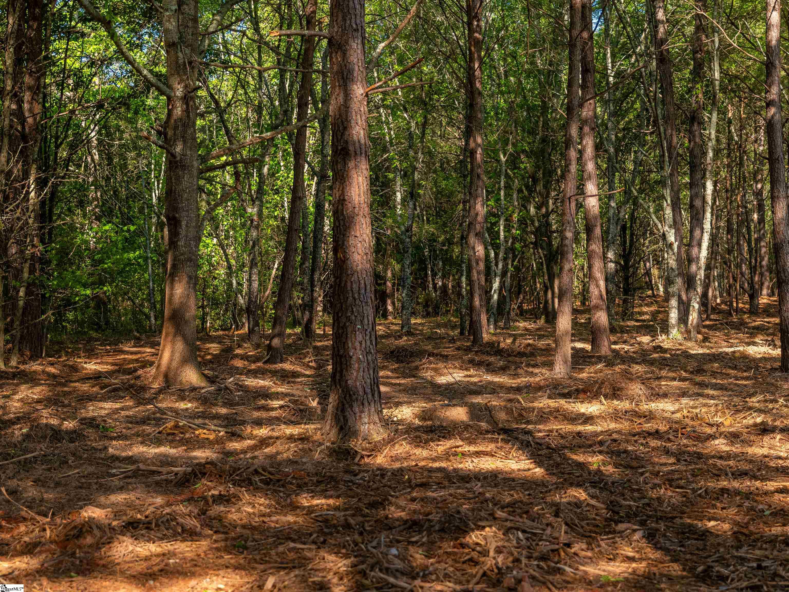 12 Moorefield Memorial, Liberty, South Carolina image 30