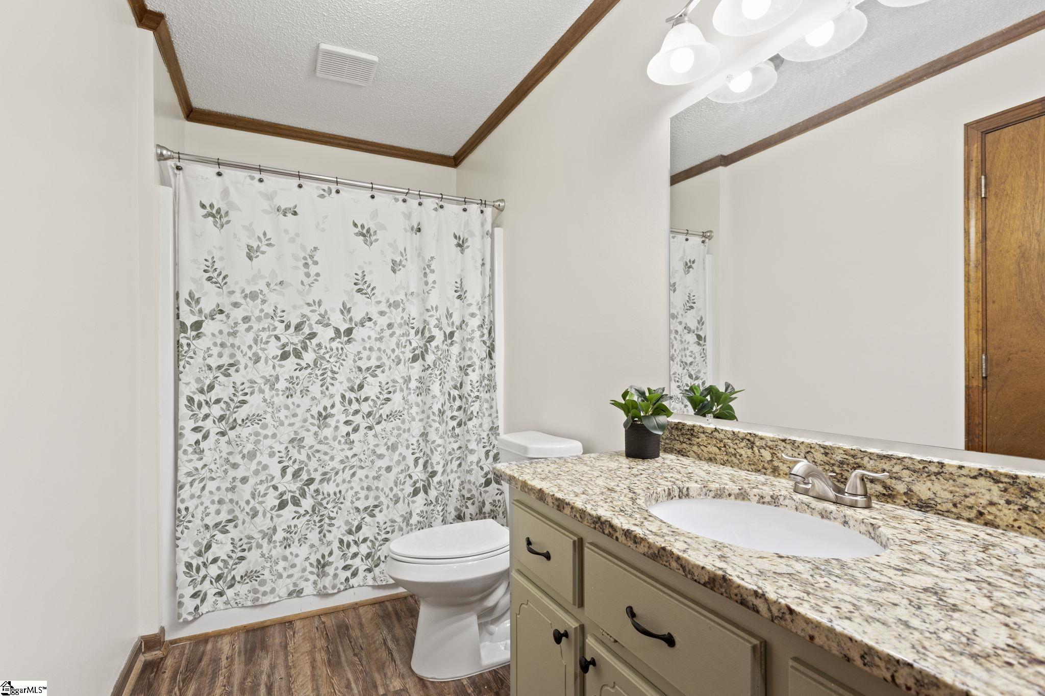 2 Elizabeth, Greenville, South Carolina image 11
