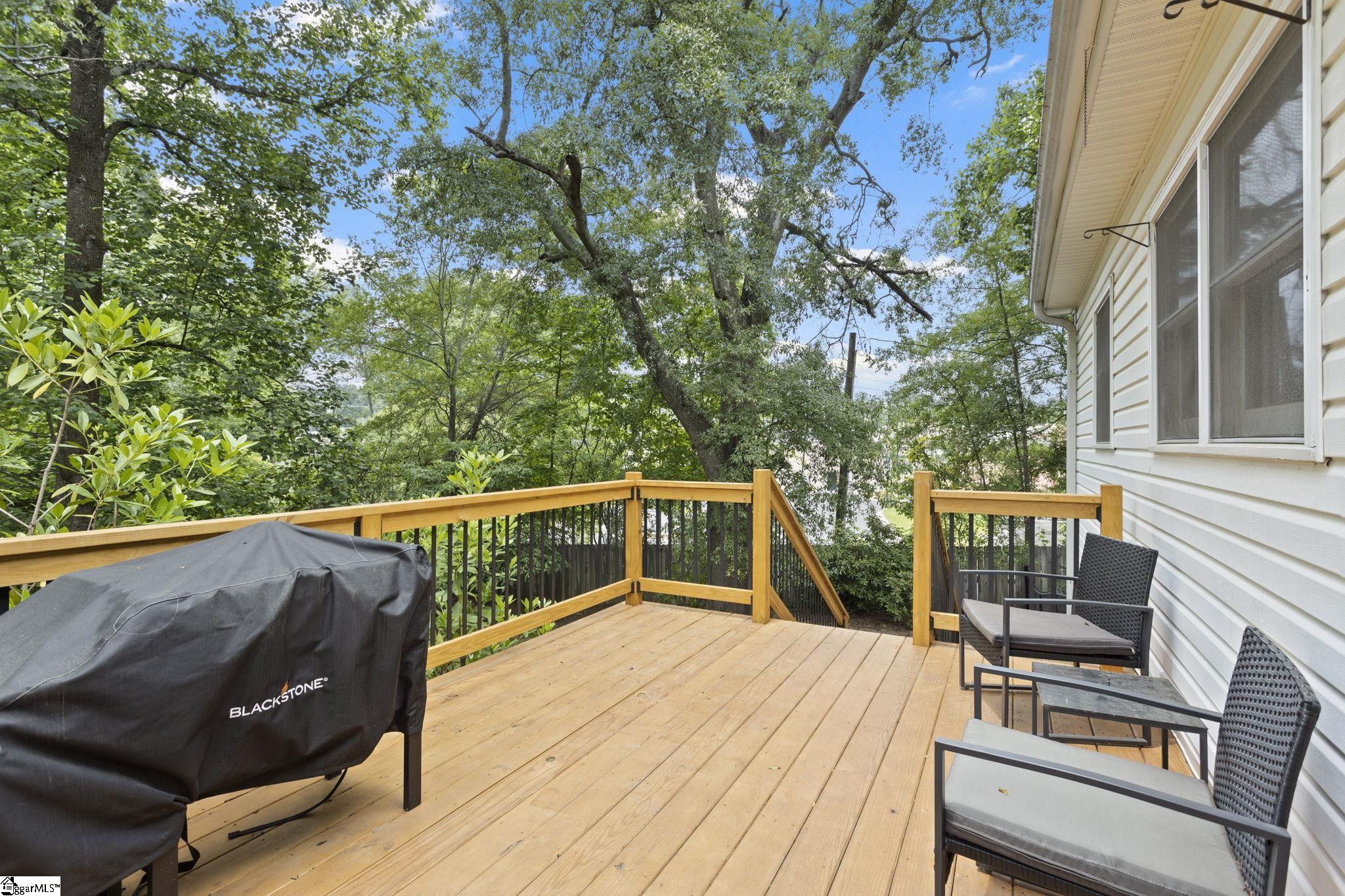 2 Elizabeth, Greenville, South Carolina image 22